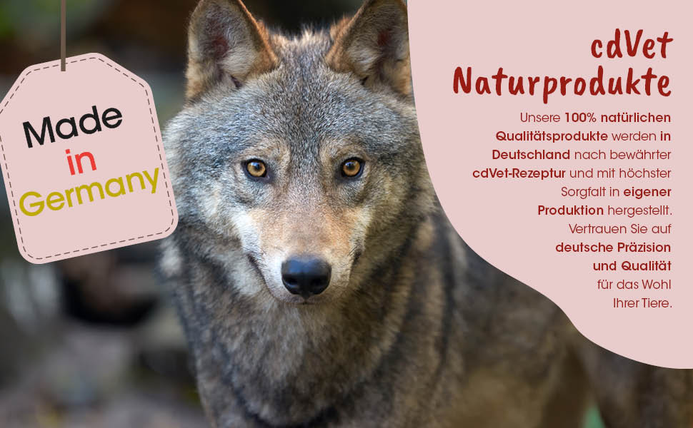 wolf, dog, fell, eye color, natürlich produkt