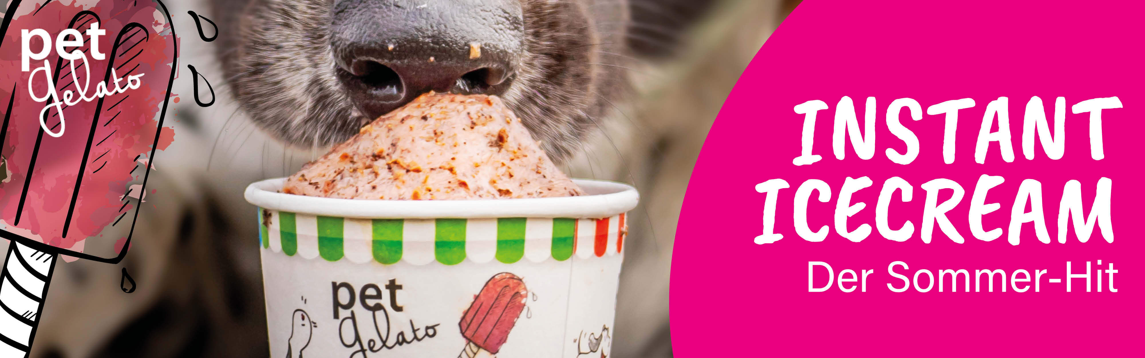 Website-Banner-petGelato Sahne, Nachtisch, Eiscreme, Soft-Serve-Eiscreme, Werbung