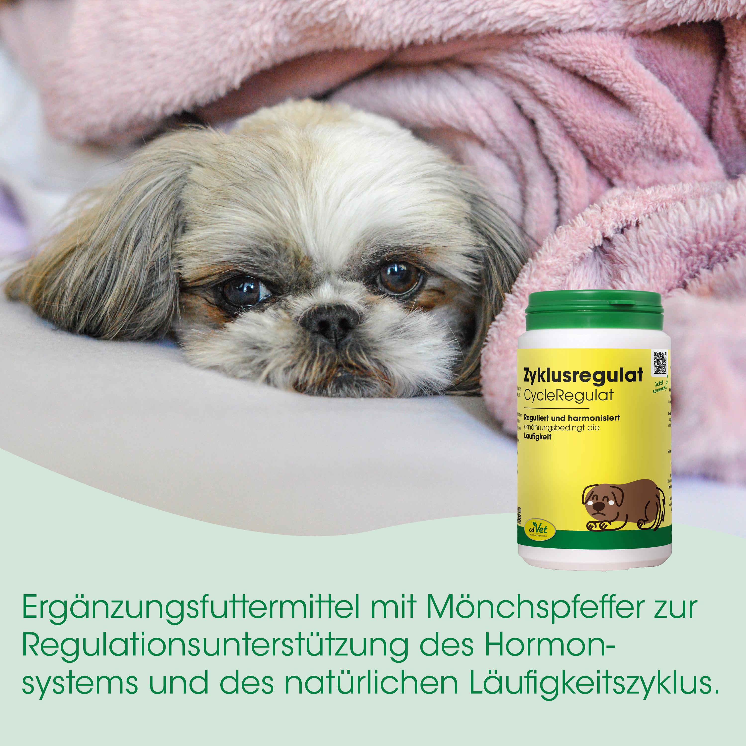 Hund, Shih-Tzu, Pfoten, Gesundheitsprodukt, Nahrungsergänzung