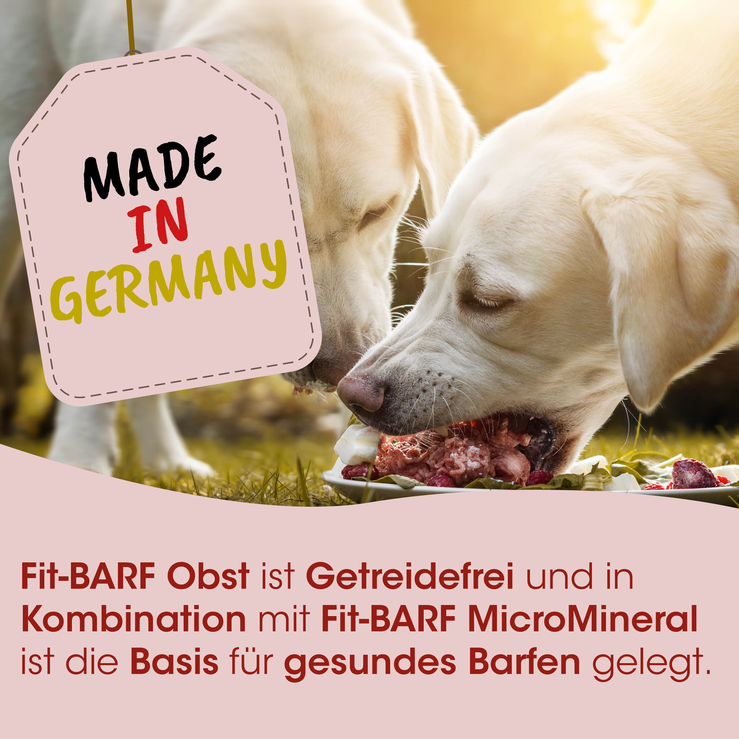 Hundefutter, Getreidefrei, MikroMineral, Barf, Kauen/Beissen