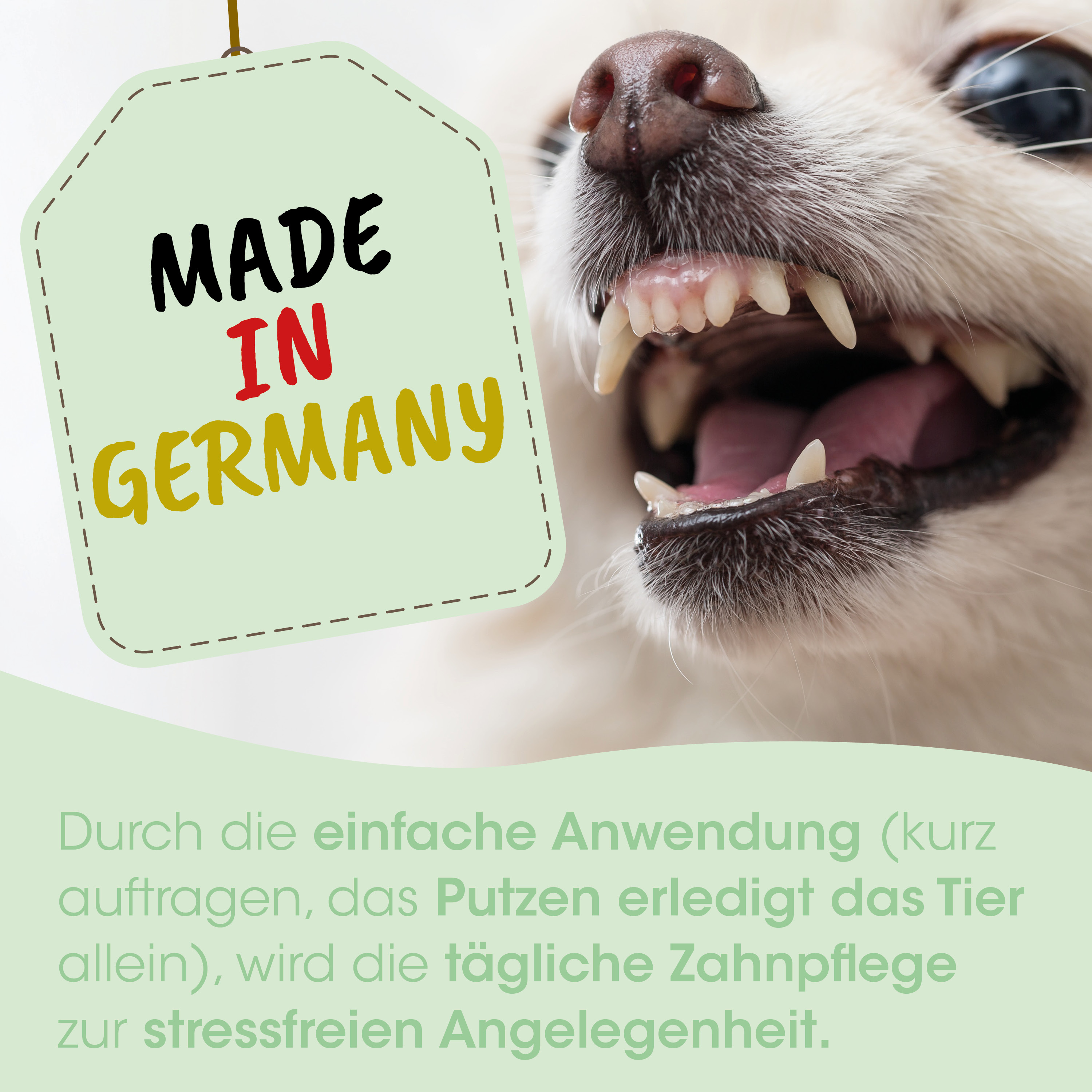 Hund, Zähne, offener Mund, Made in Germany tag, Etikett