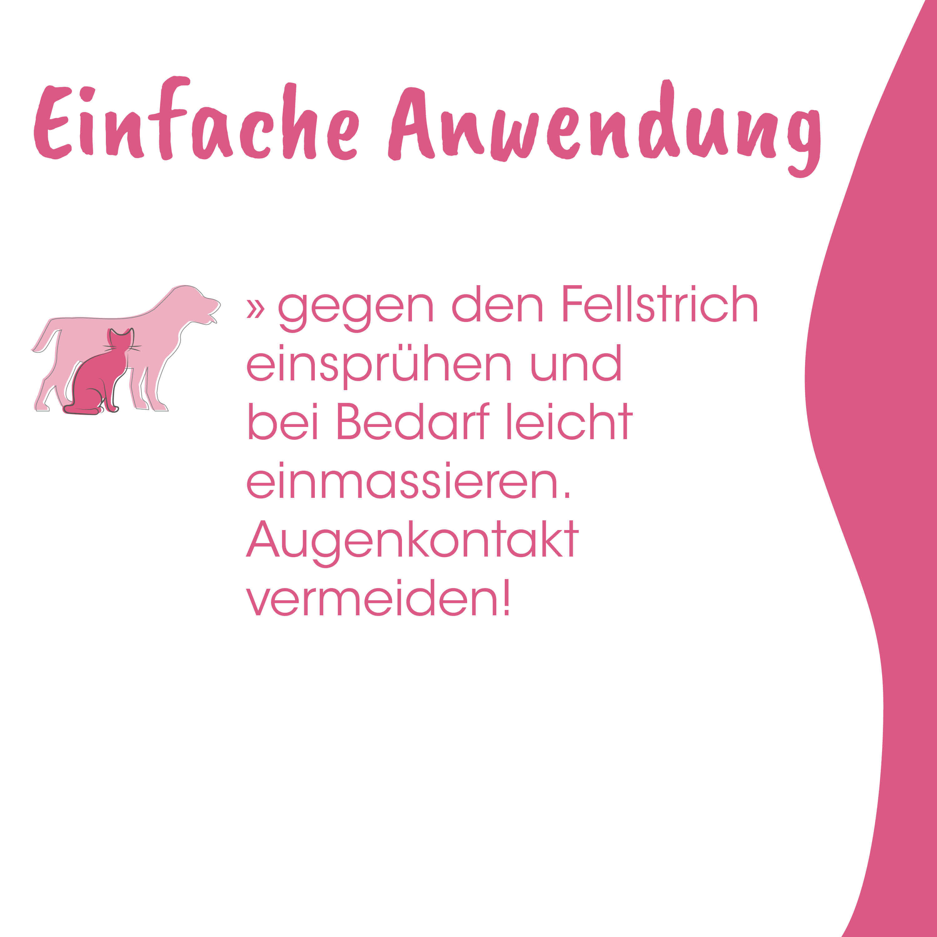 Katzenfutter, Tierarzt, Fellpflege, Katzenbild, Ratgeber