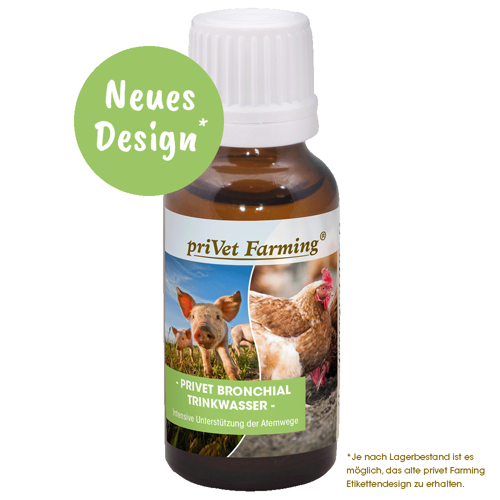 Shopbild privet Bronchial Trinkwasser 20 ml