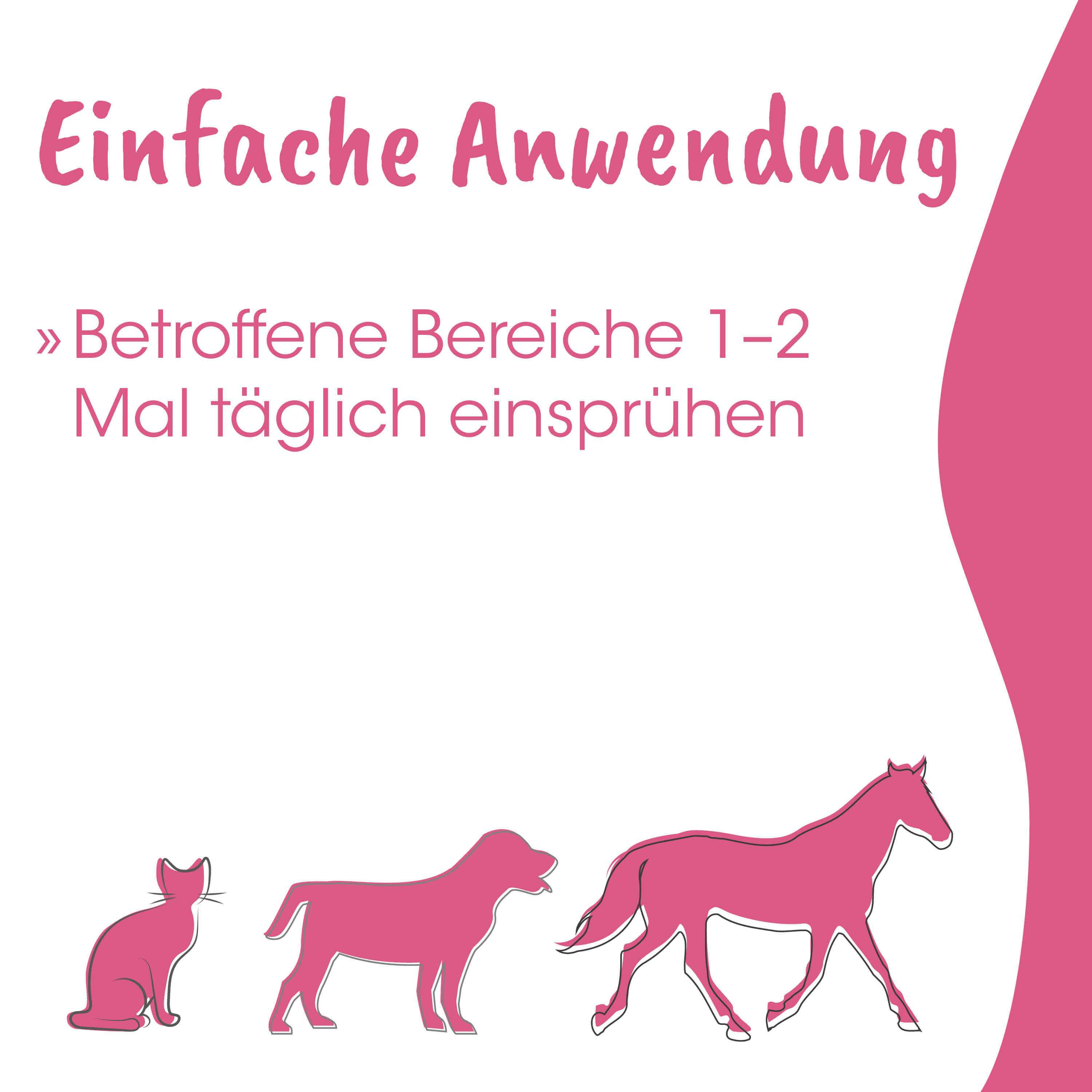 katze, pferd, silhouette, pink, illustration
