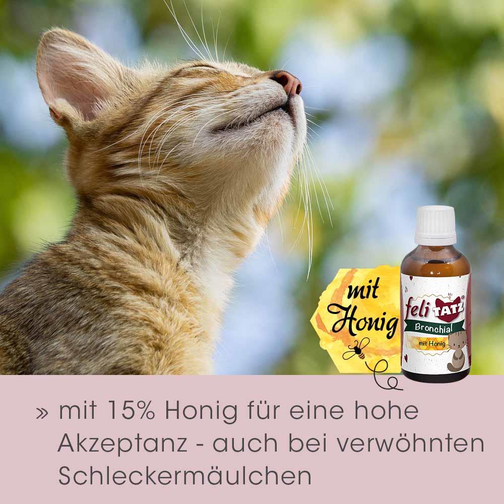 Katzenfutter, Honig, Fläschchen, Natura Produkt, Brunnenför Haustier