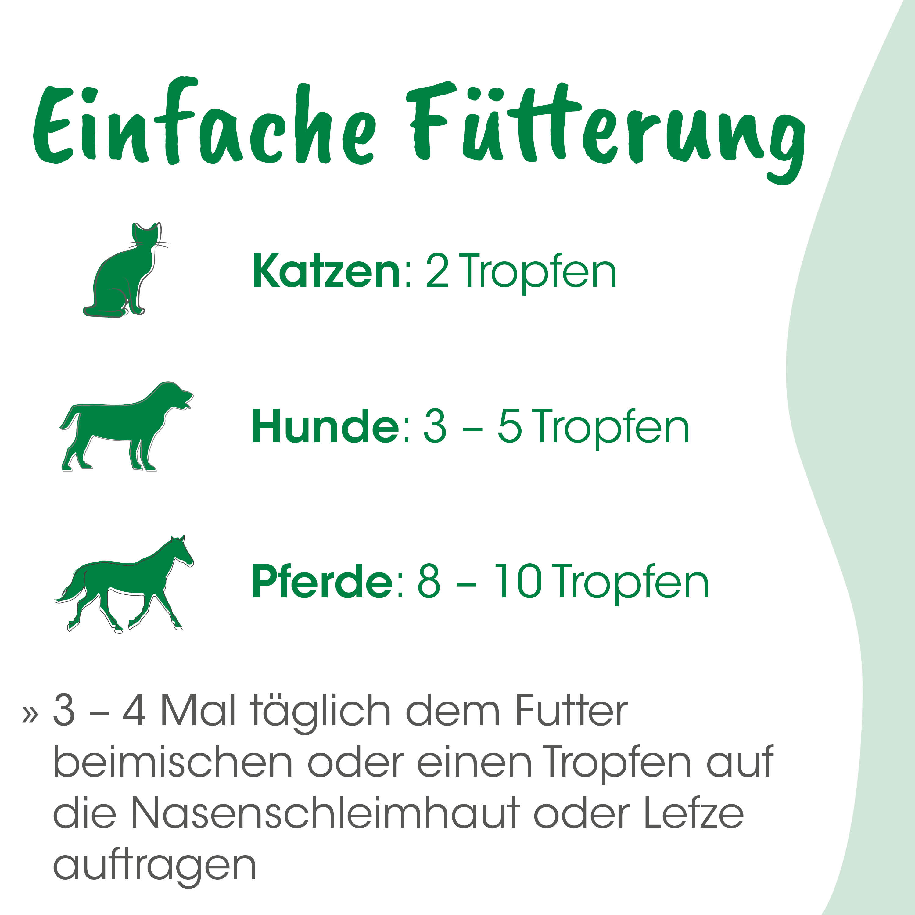 Katzenfutter, Trockenfutter, Haustierfutter, Nassfutter, Futterbedarf