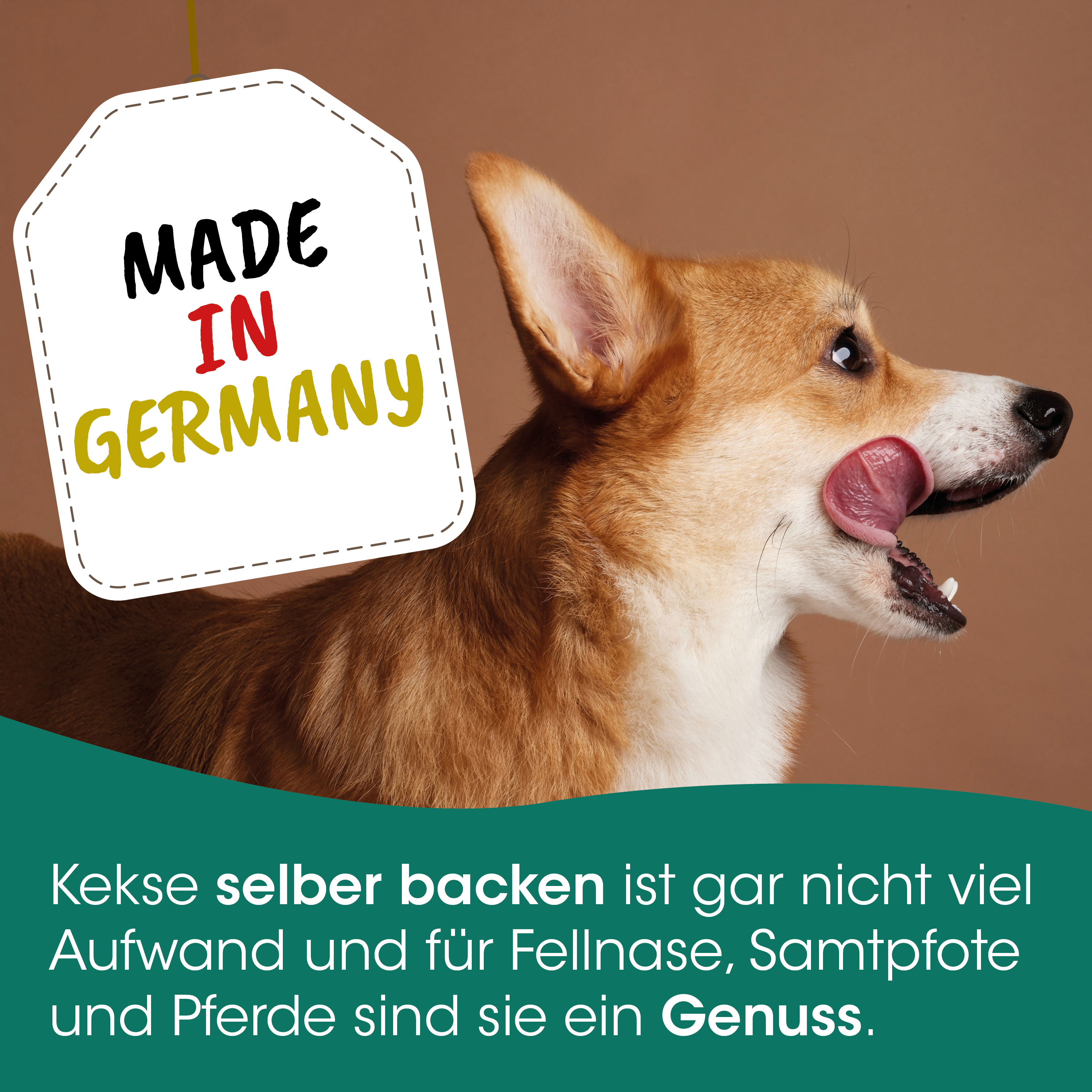 Hund, Keks, Selfbak, Tierfutter, Genuss