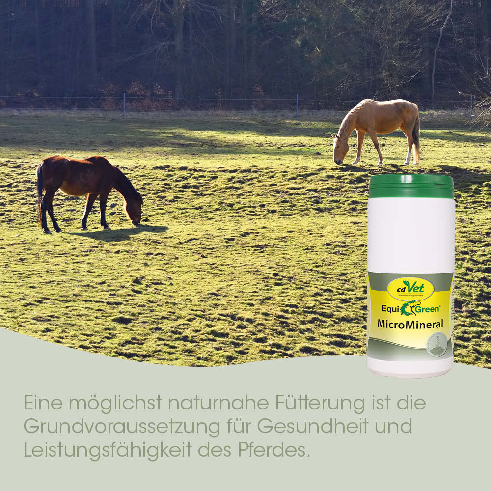 Pferdefutter, Micromineral, EquiGreen, cdVet, Mineralstoff