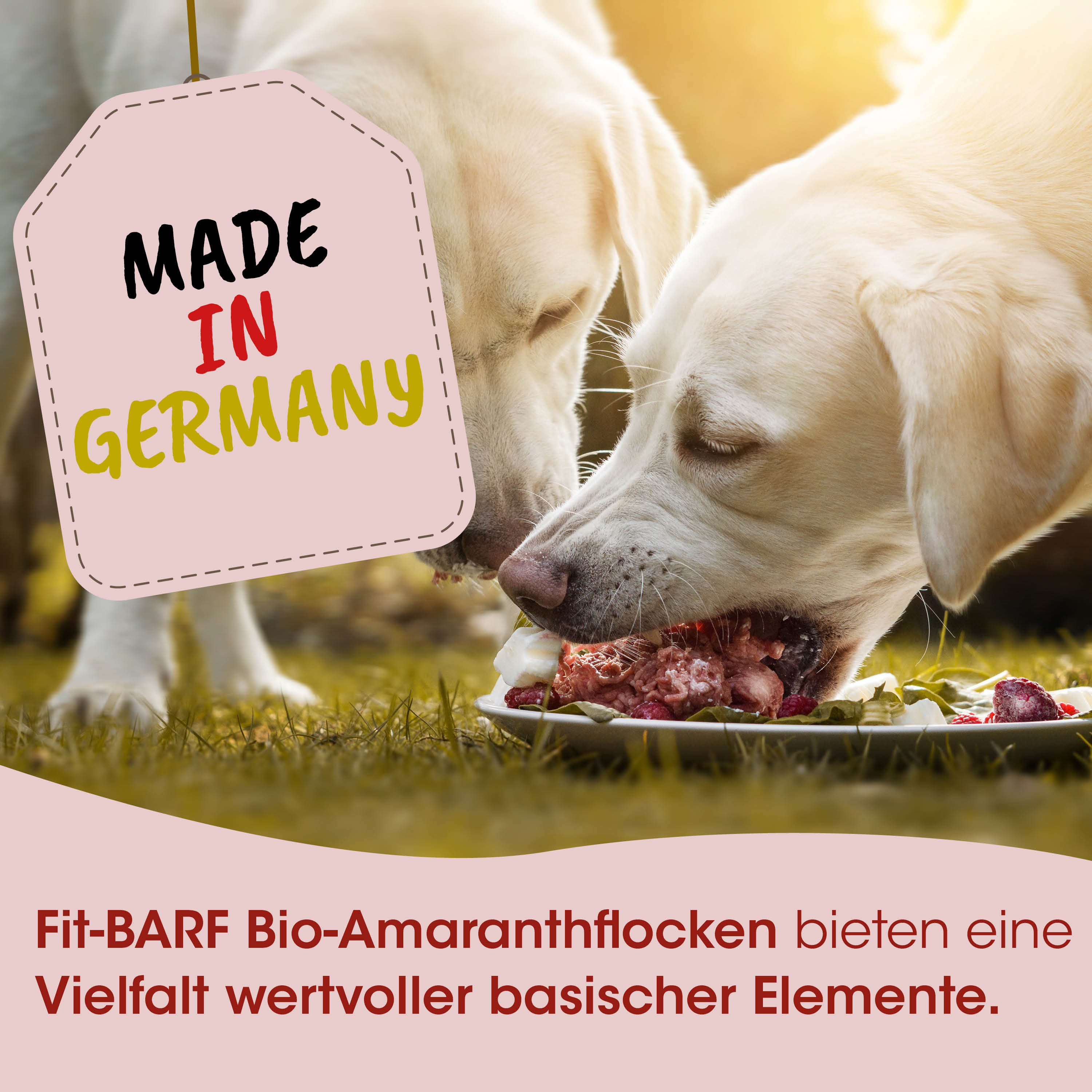 Hund, Hundefutter, Futter, Tierfutter, Bio-Amaranthflocken