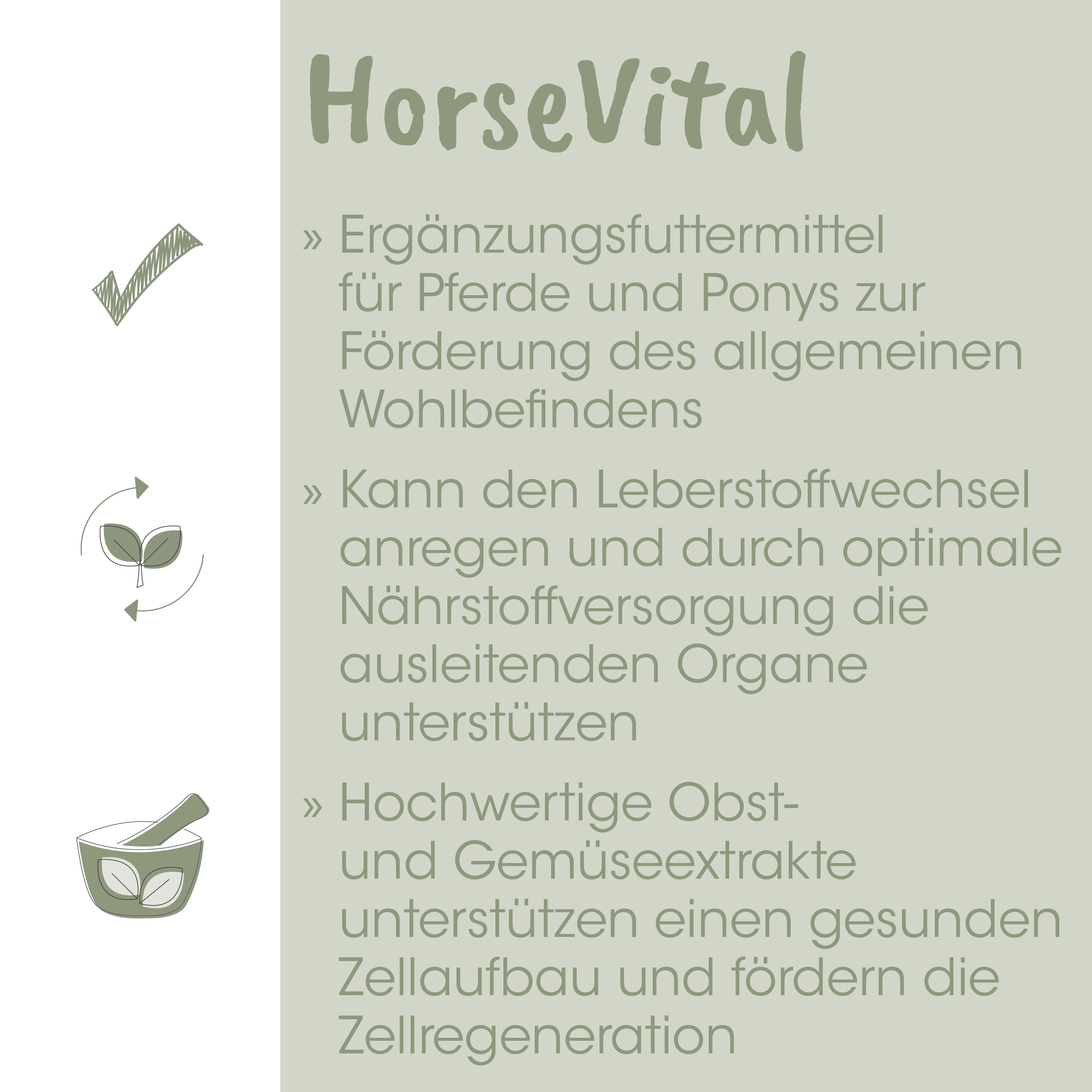 Pferdefutter, Ergänzungsfutter, Pferdegesundheit, Nährstoffversorgung, Gemüseextrakte