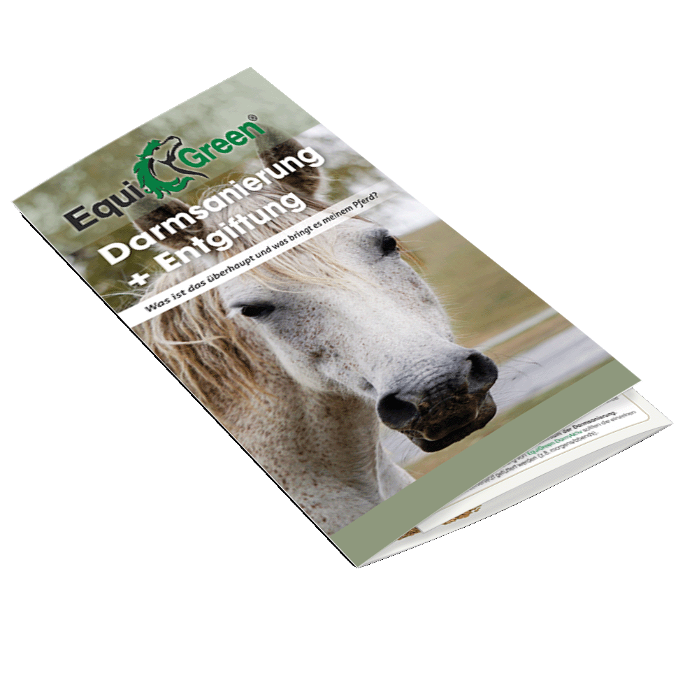 Flyer Darmsanierung Pferd DIN lang, 6 seitig Flyer Darmsanierung Pferd DIN lang, 6 seitig