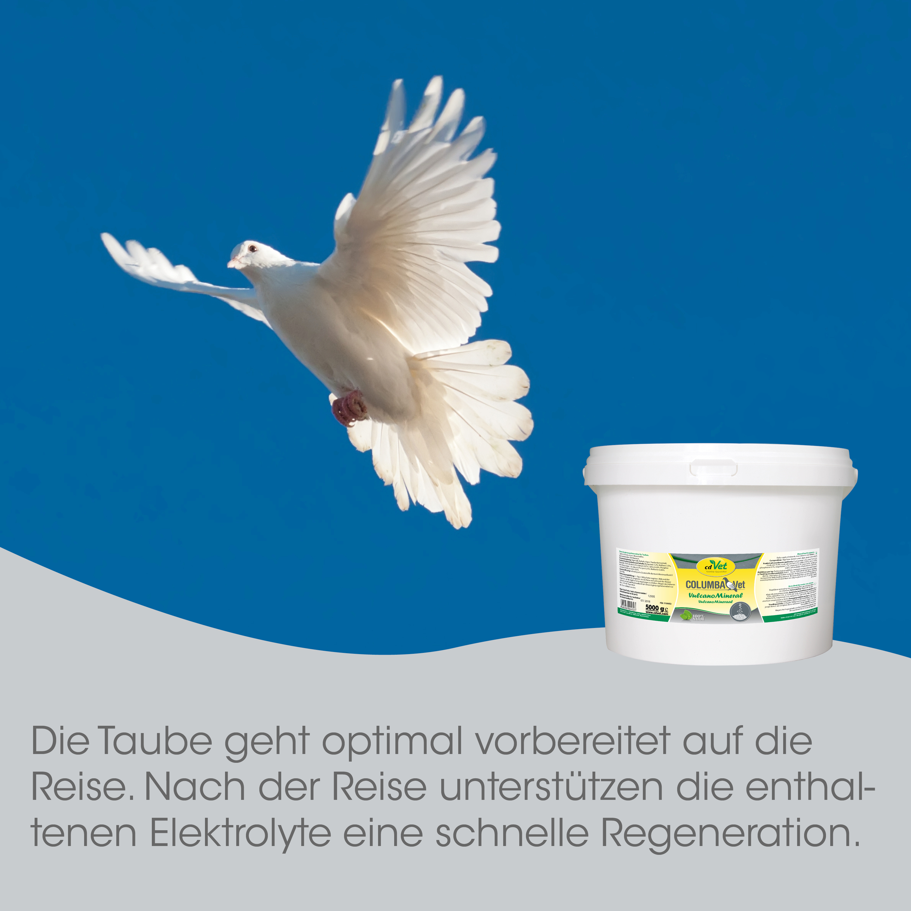 Taube, Weißer Vogel, Flügel, Ganzkörper, Eimer Rotzubehör?