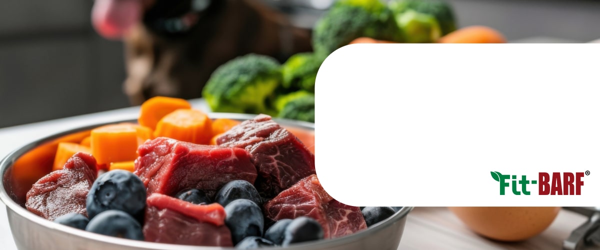 Kat-Banner-Hund-5-min Beere, Essen, Obst, Pflanze, Produzieren