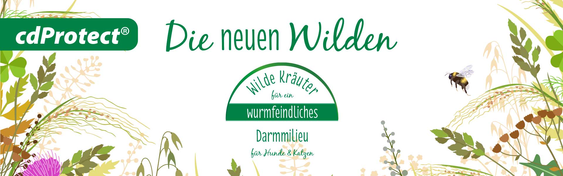 cdprotect-headbanner-ot