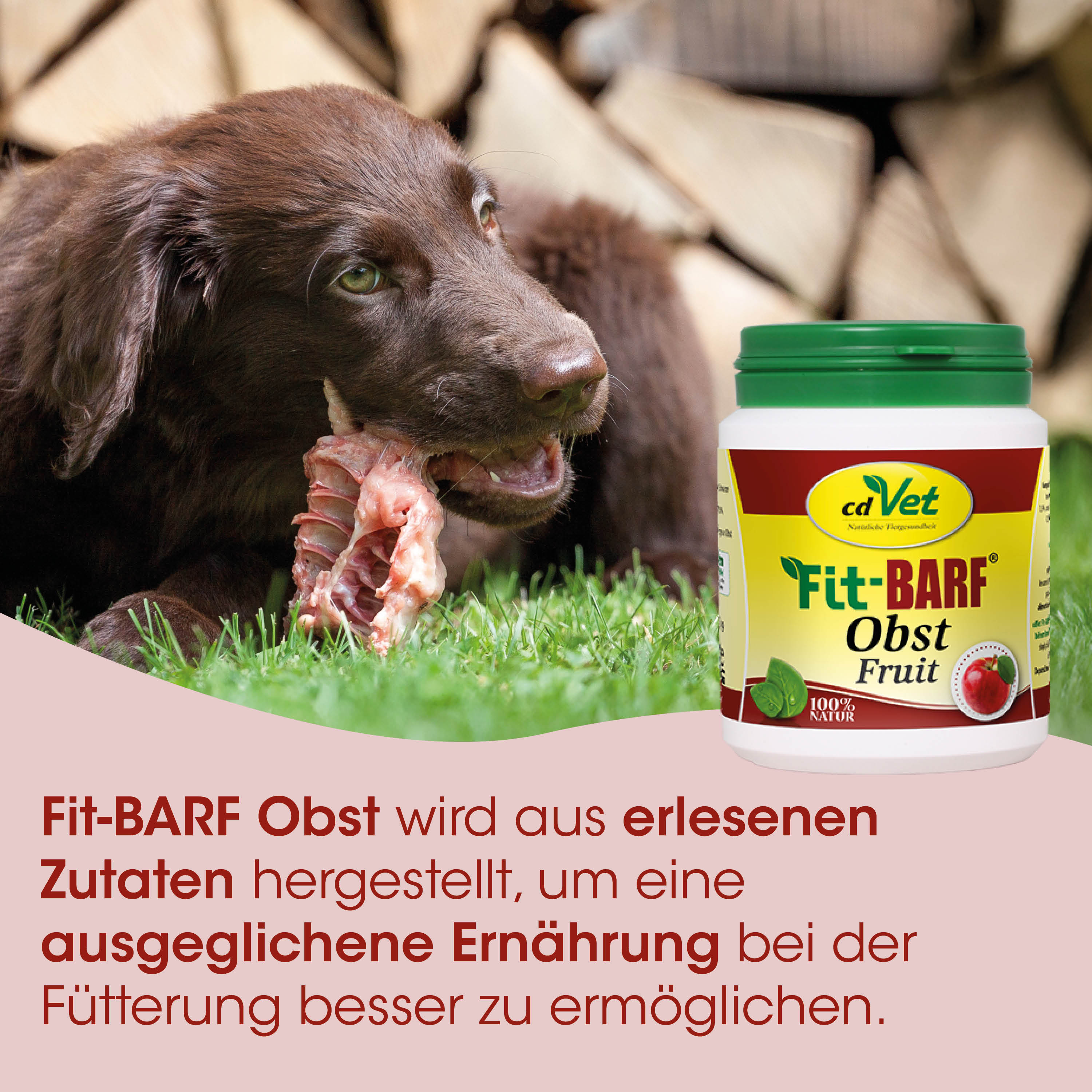 Hundefutter, Obst-Futter, Kauen-Gemisch, Tiernahrung, Obst-Geschmack