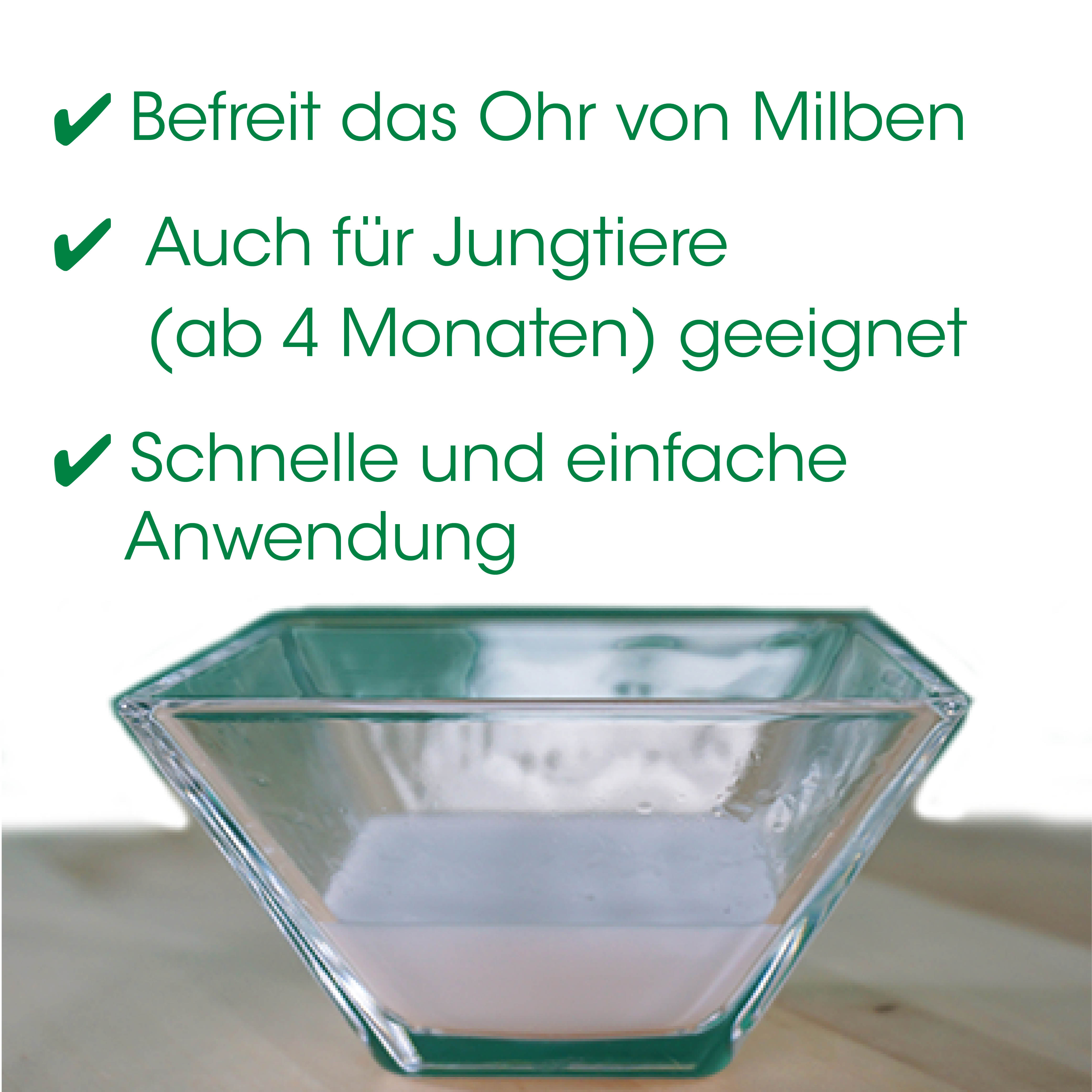 Glasgefäß, Schale, Vasenschale, Transparente Schale, Glasbehälter, Schüssel, Glas, quaderförmig, transparent, Servierschüssel