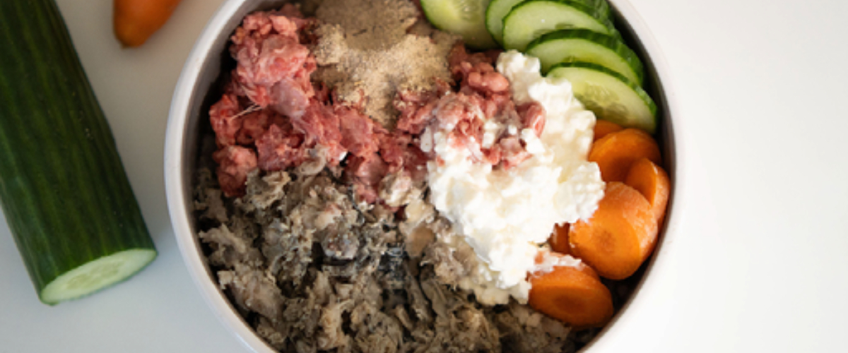 Banner Hundefutter-1 Essen, Präsentation des Essens, Rindfleisch, Fleisch