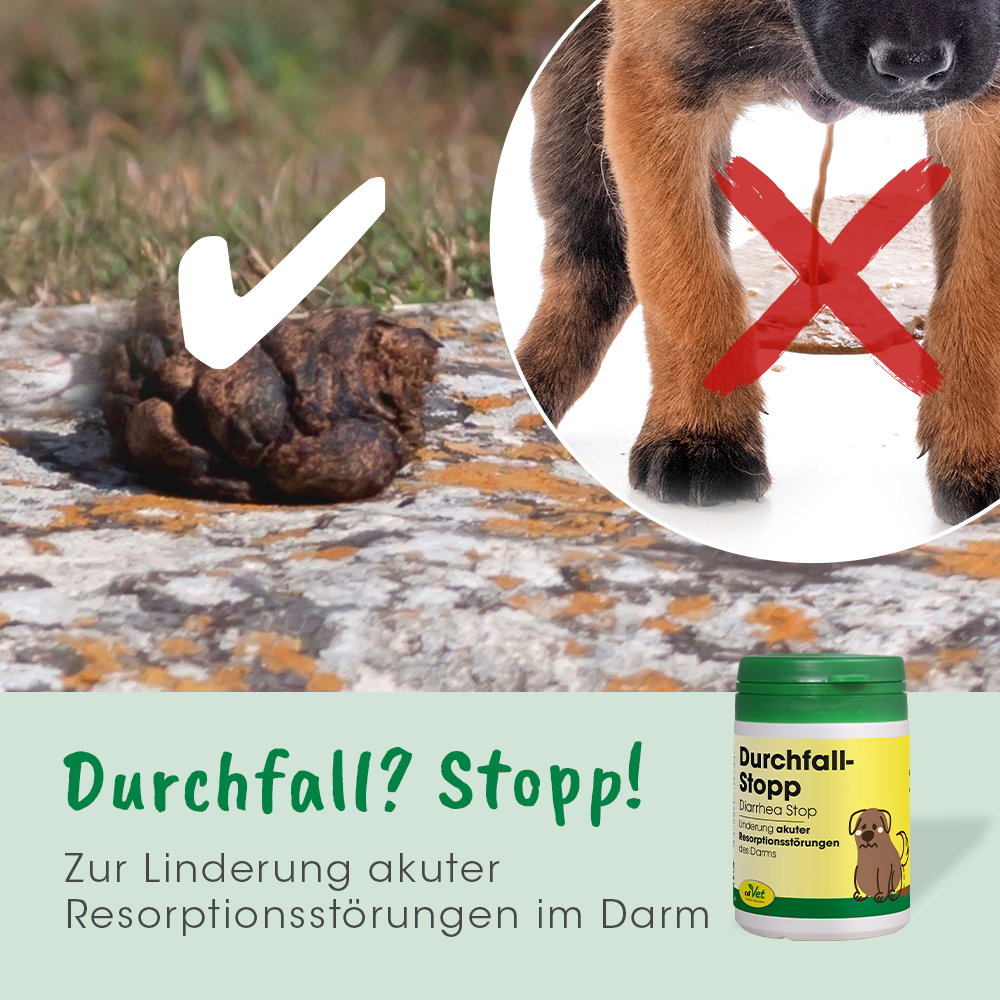 DurchfallStopp 50 g DurchfallStopp 50 g