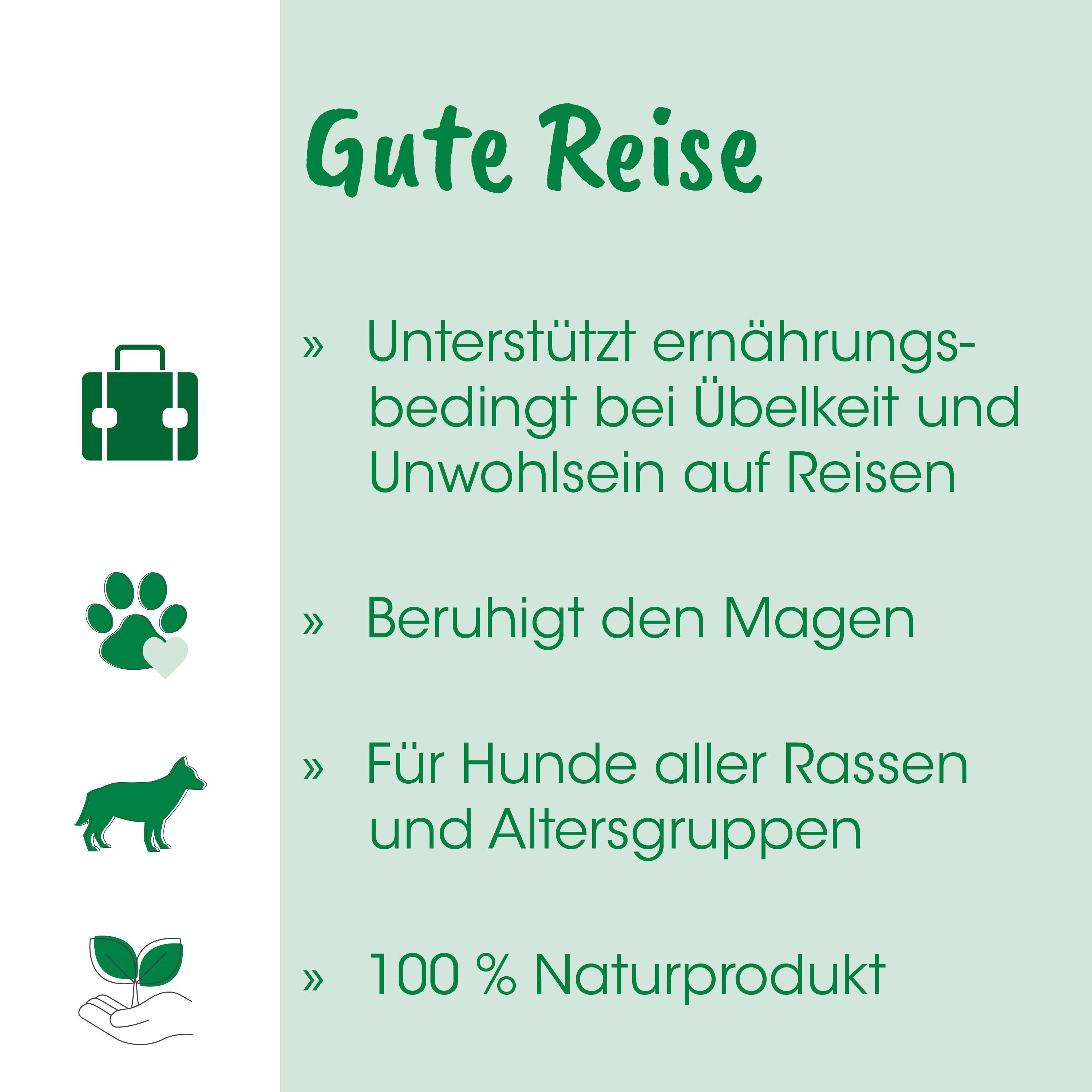 Hund, Pfote, Naturprodukt, Harmonie, Reisetasche