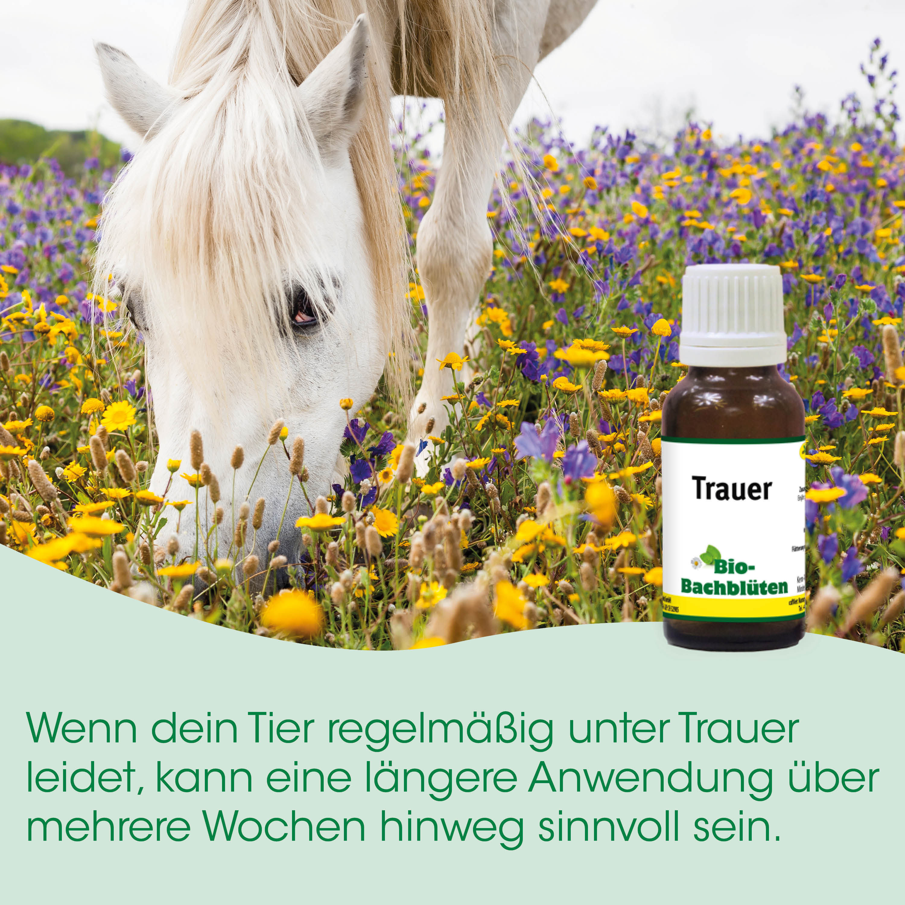 Pferd, weiß, silber, Feld, Flasche