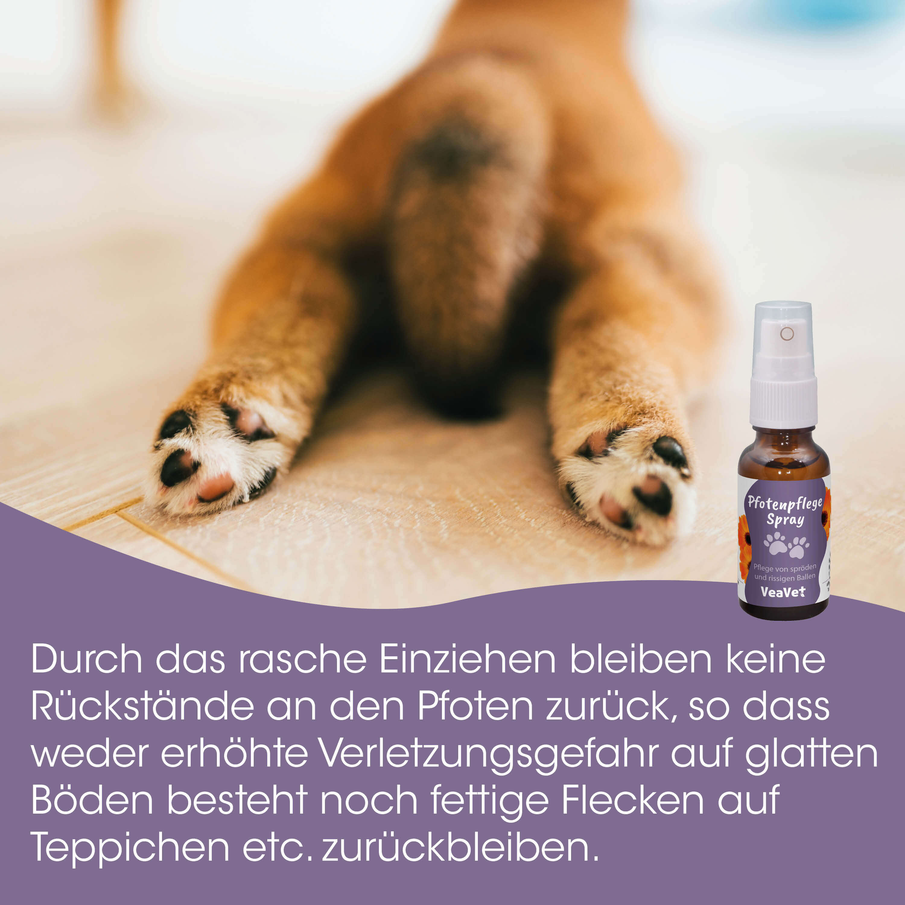 Hundepflegespray, Pfotenpflege, Sprayflasche, Tiergesundheit, Pfotenbalsam