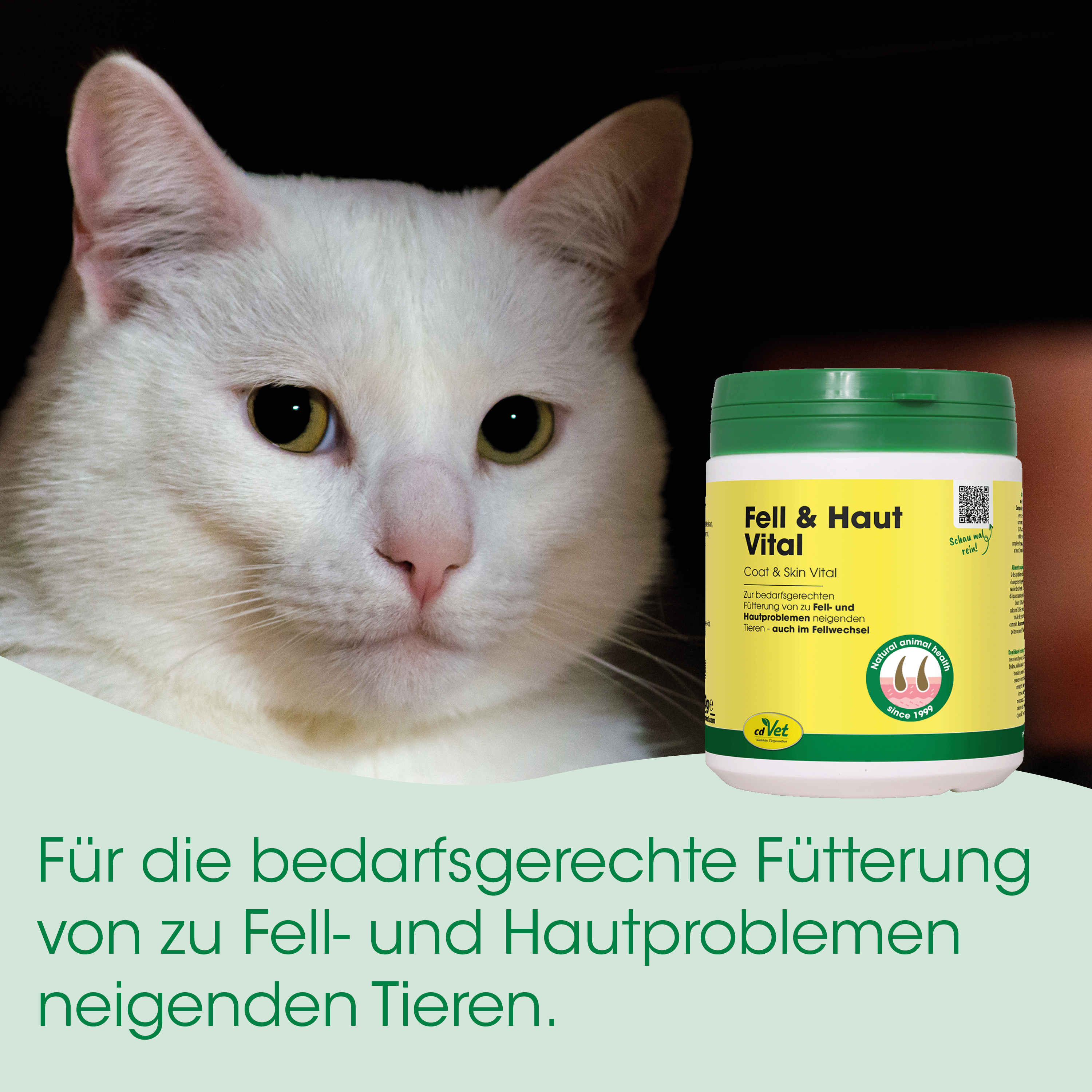 Katze, Kotfutter, Fell- und Hautpflege, Futterergänzung, Tierarztprodukt