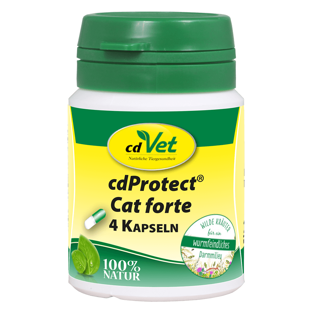Shopbild cdProtect Cat forte 4 Kapseln -Sorbe-