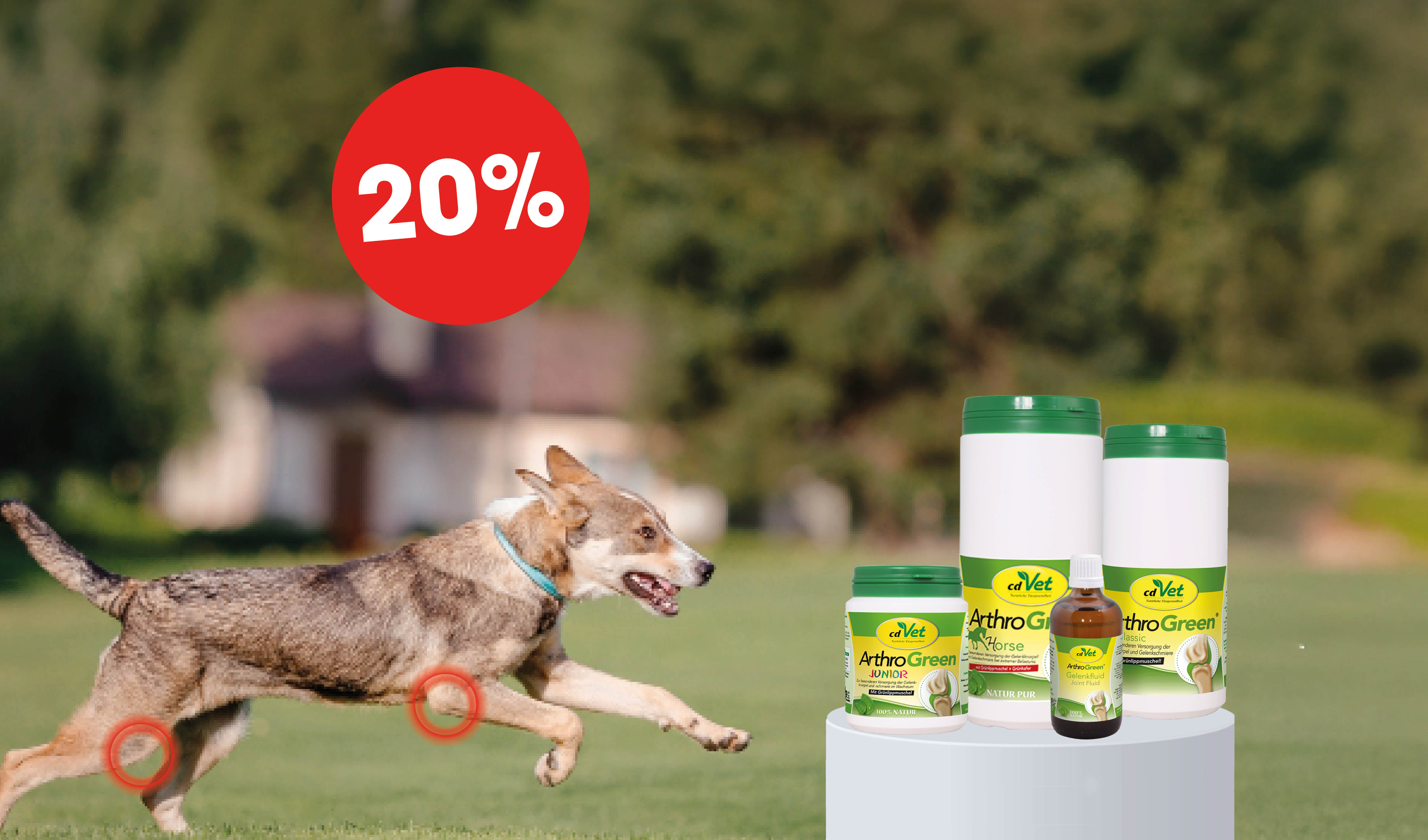 Hund, Tierarztbedarf, Ergänzungsfutter, ArthroGreen, Schwarz/Grün