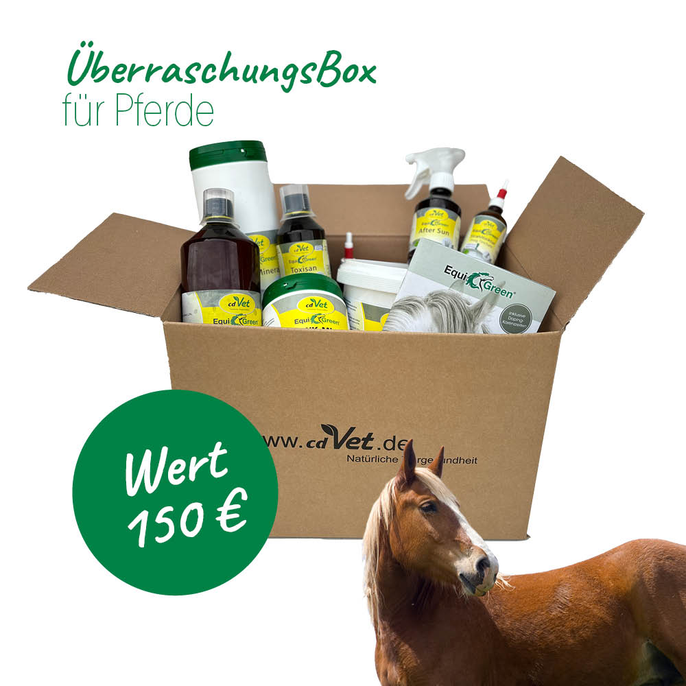 Überraschungspaket Pferd im Wert von 150 €