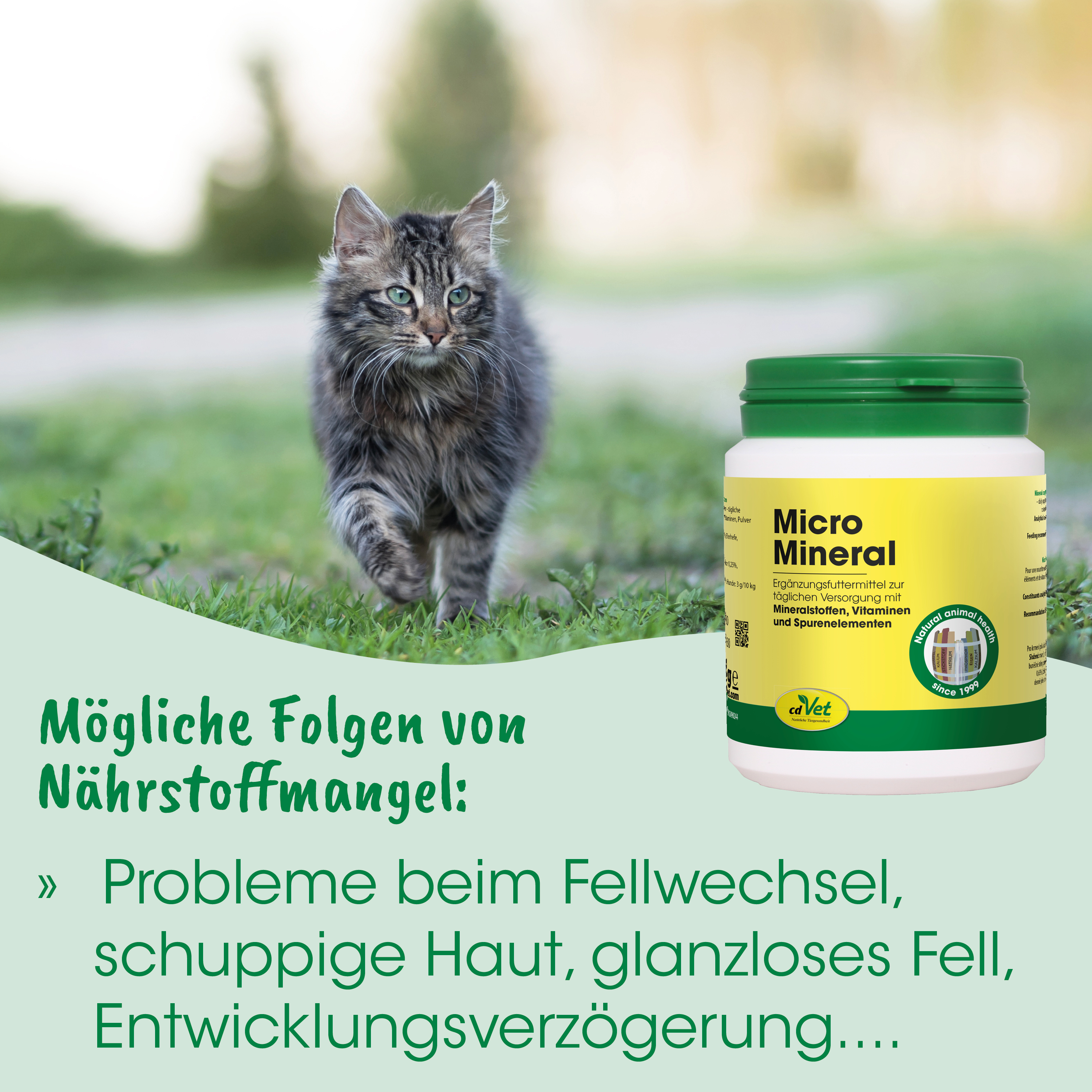Katzenfutter, Nahrungsergänzung, Mineralfutter, Gelb, Grün