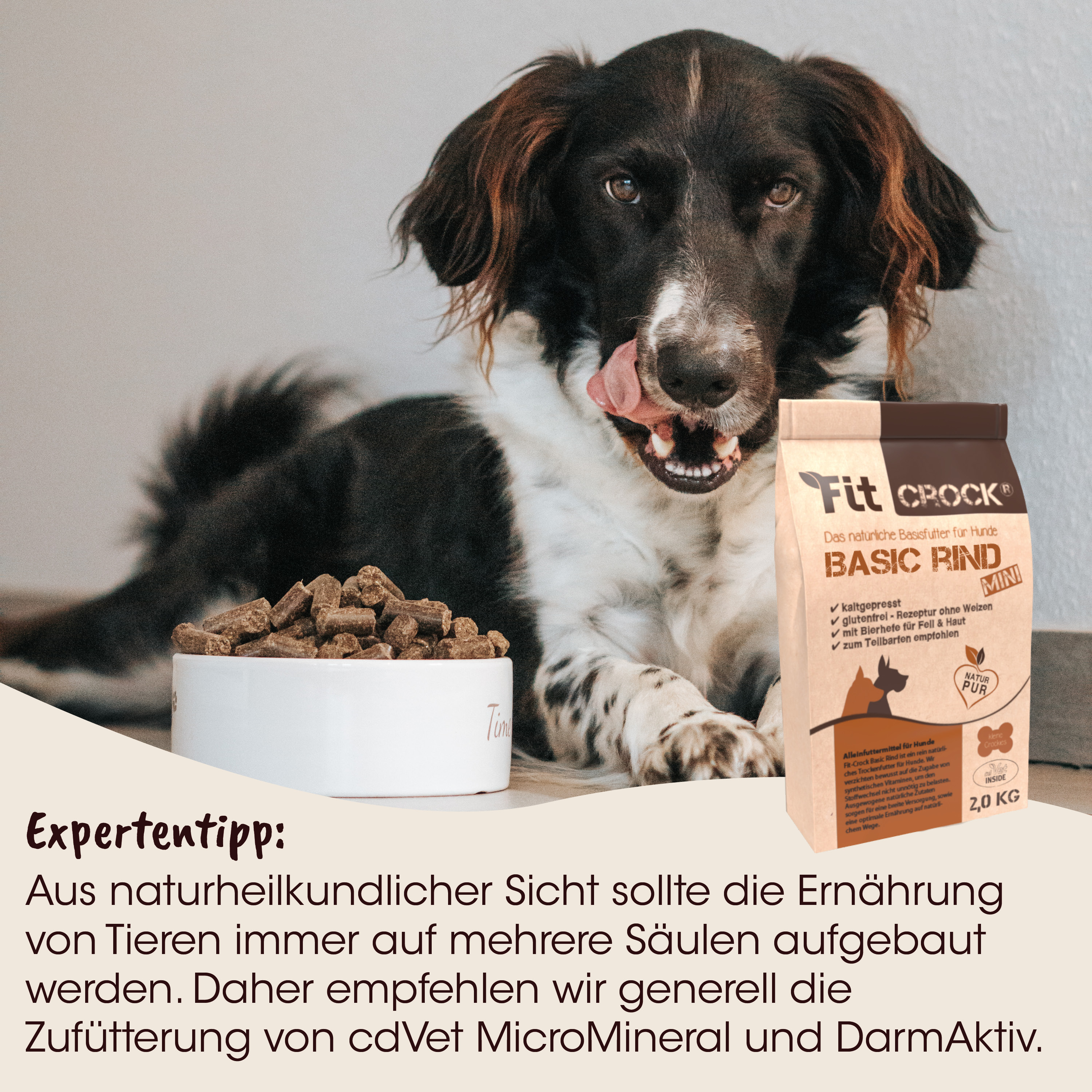 Hund, Hunde-Nahrung, Kauartikel, Trockenfutter, Beutel/Packung