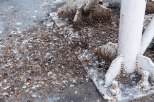 Banner Kleintiere-13 Natur, Draußen, Wetter, Eis