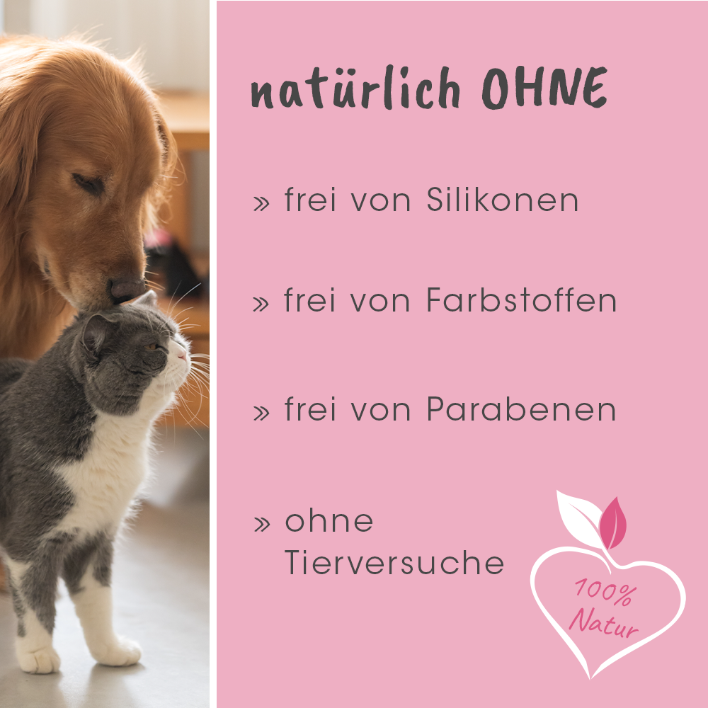 Hund, Katze, Tierliebhaber, Haustier, Hausfellpflege
