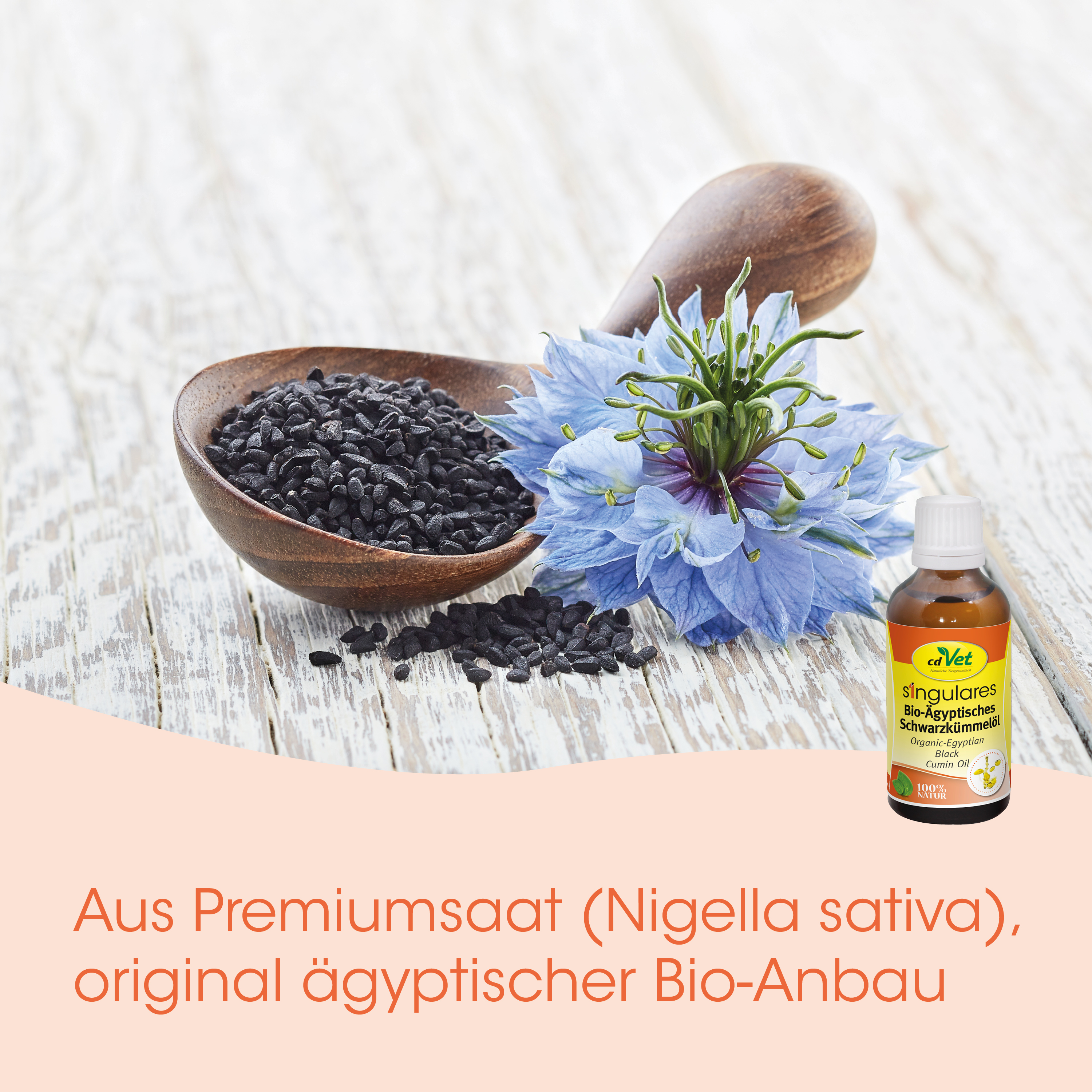 Saat, Kohle, Blume, Ölflasche, Bio-Anbau