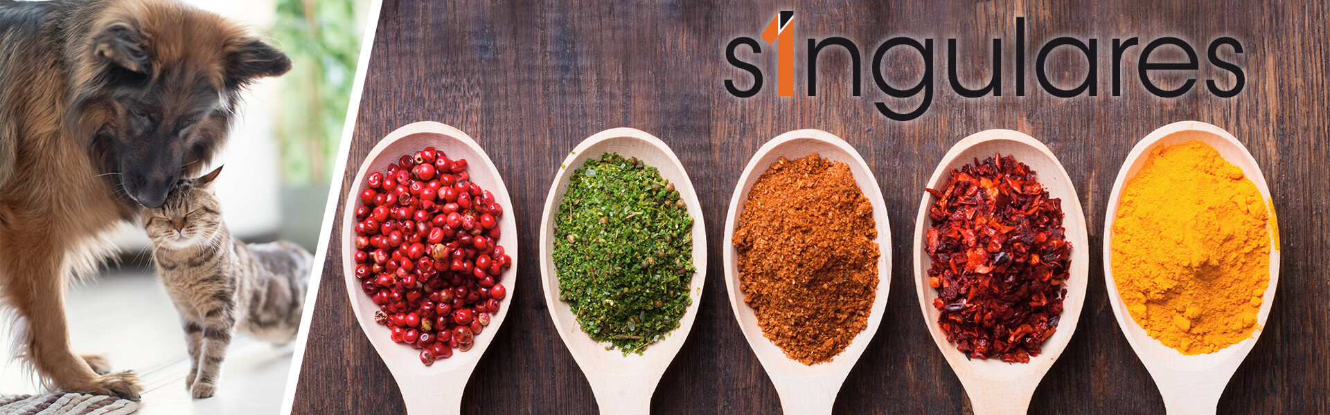 Singulares_Baner_Main
