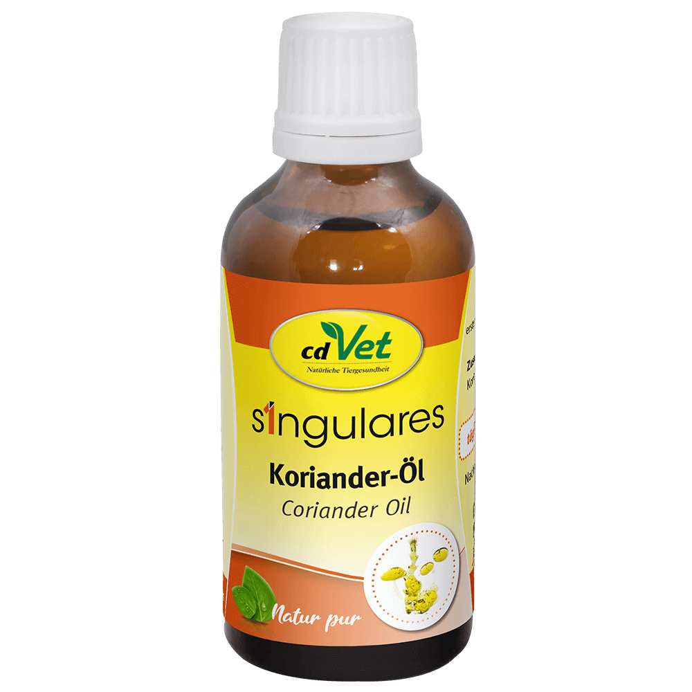 Singulares Koriander-Öl 50 ml Essen, Würzen, Sirup, Kräuterig, Pflanze