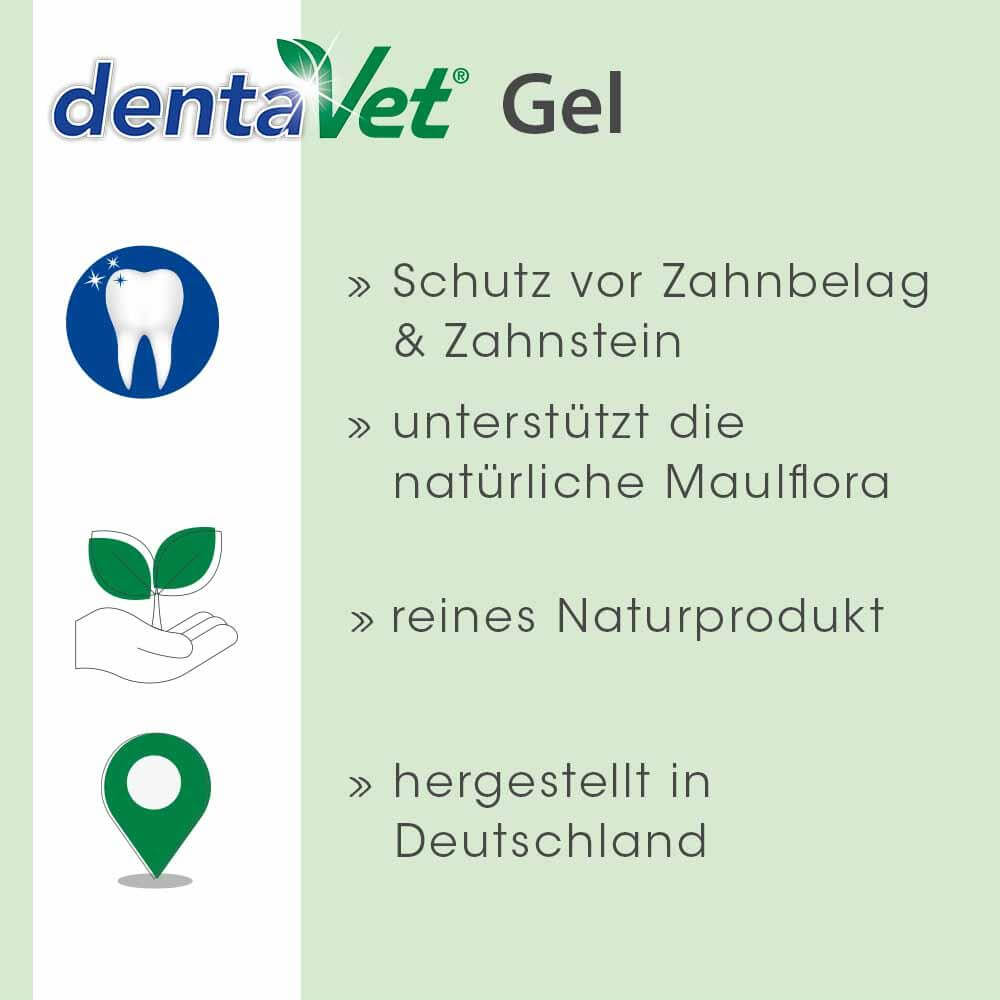 Shopbild dentaVet Gel 35 g