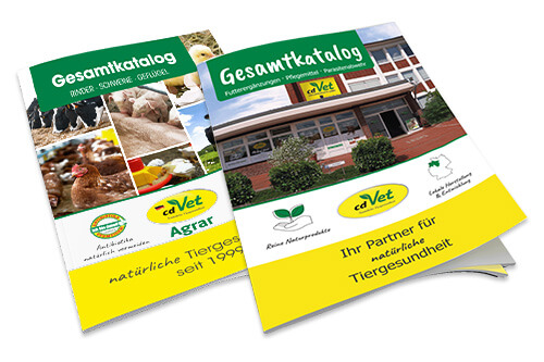 Gesamtkataloge_2022_500x333px Gesamtkataloge_2022_500x333px