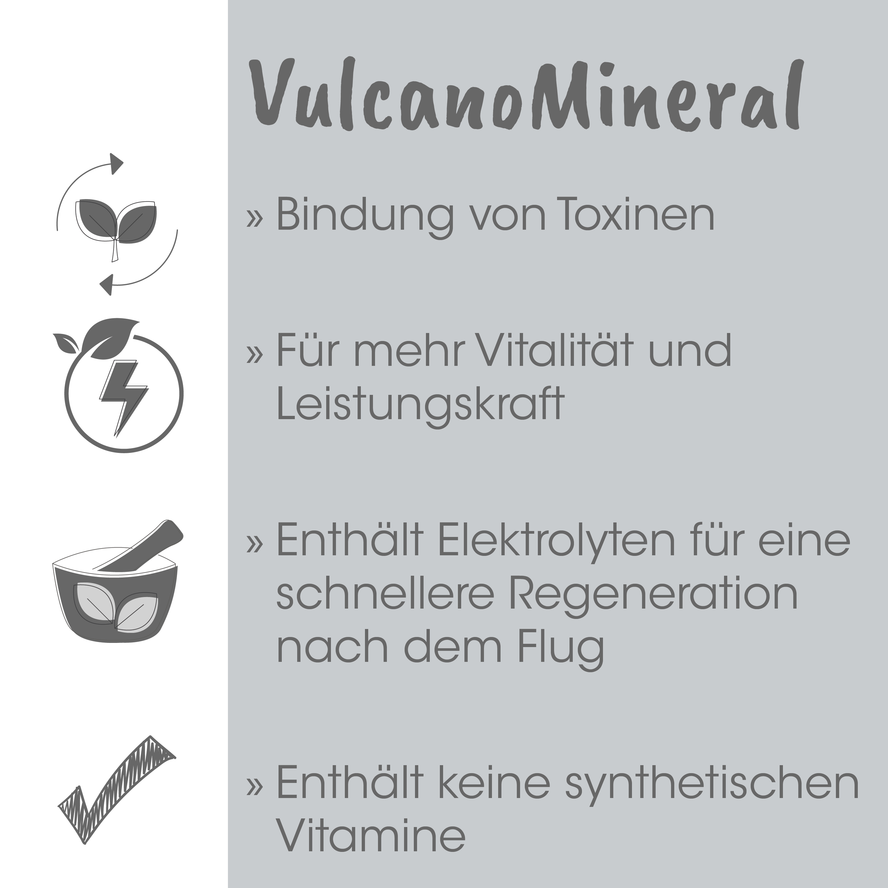 VulcanoMineral, Bindung von Toxinen, Vitalität, Leistungskraft, Elektrolyten