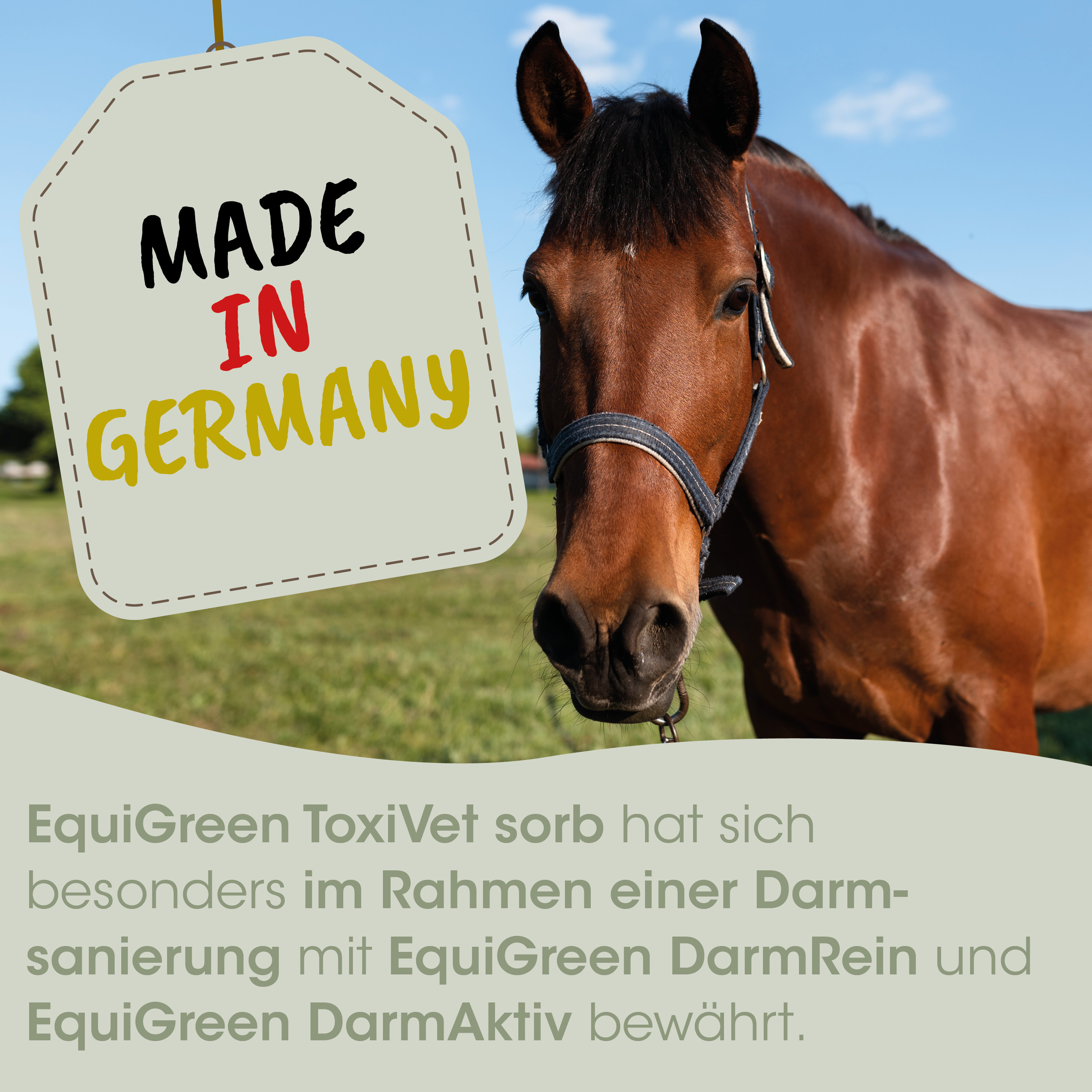 Pferd, Halfter, Stallbedarf, Brunft, Made in Germany