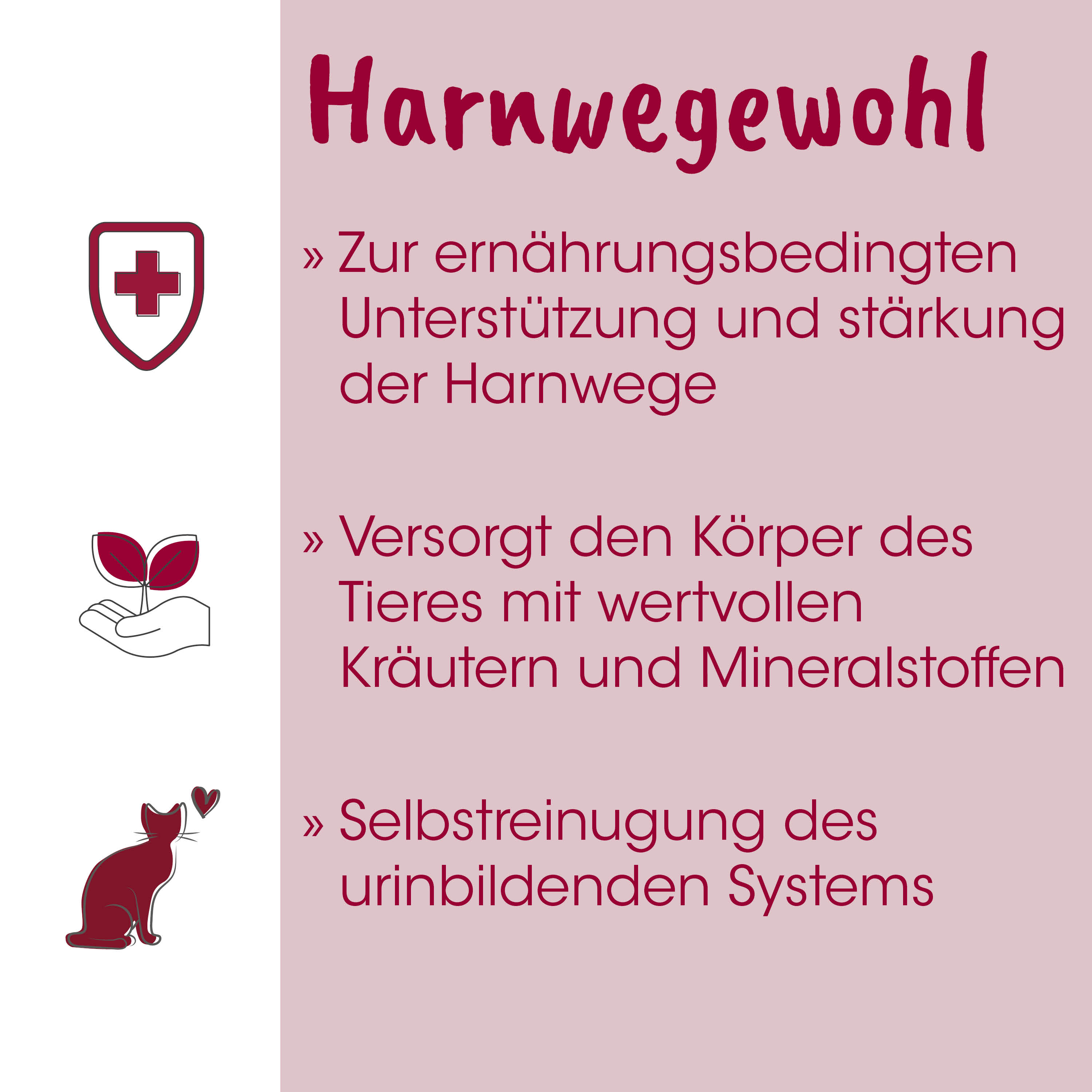 katze, katzenillustration, tierpflege, nahrung, kräuter