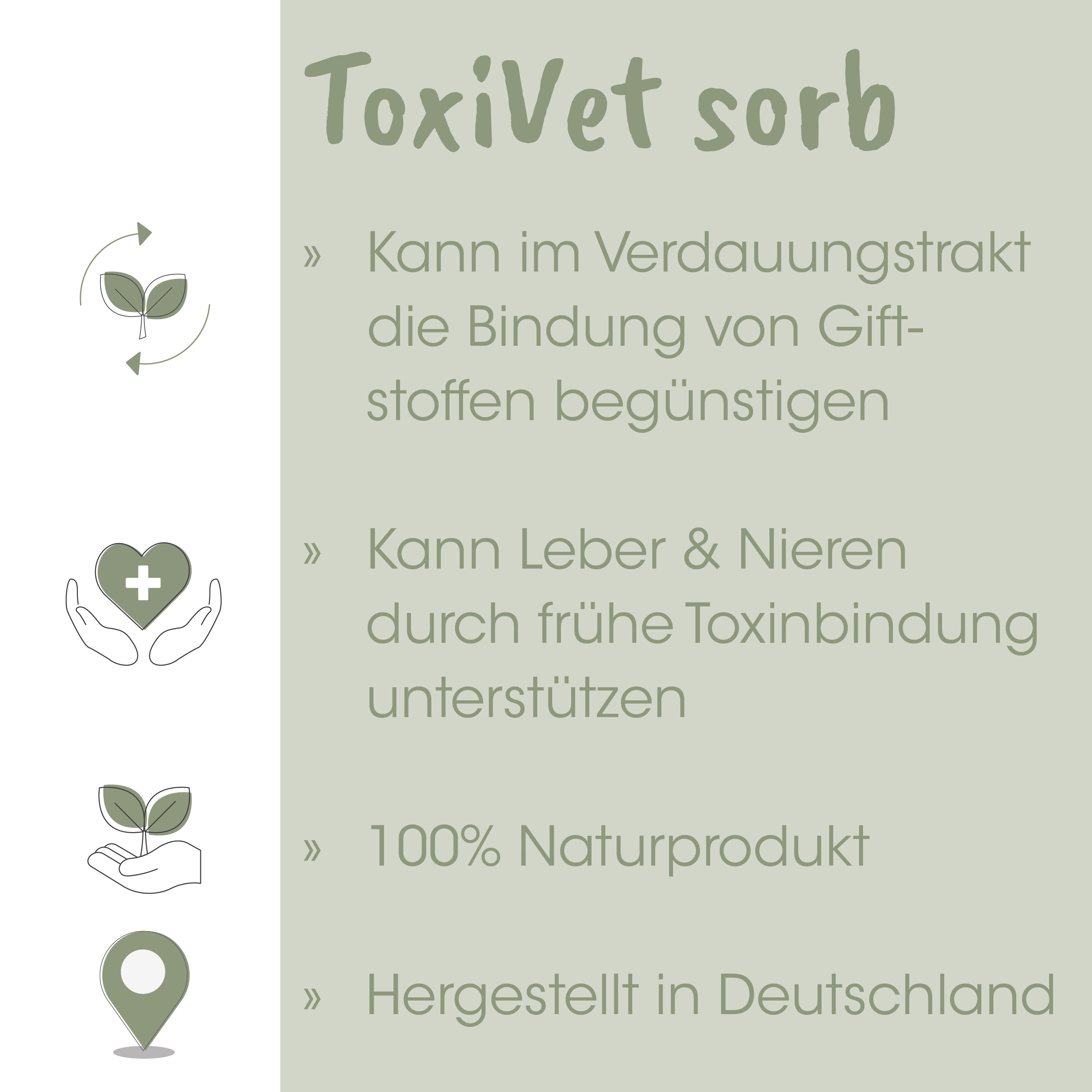 natur, Pflanze, Blatt, Hand, Standort