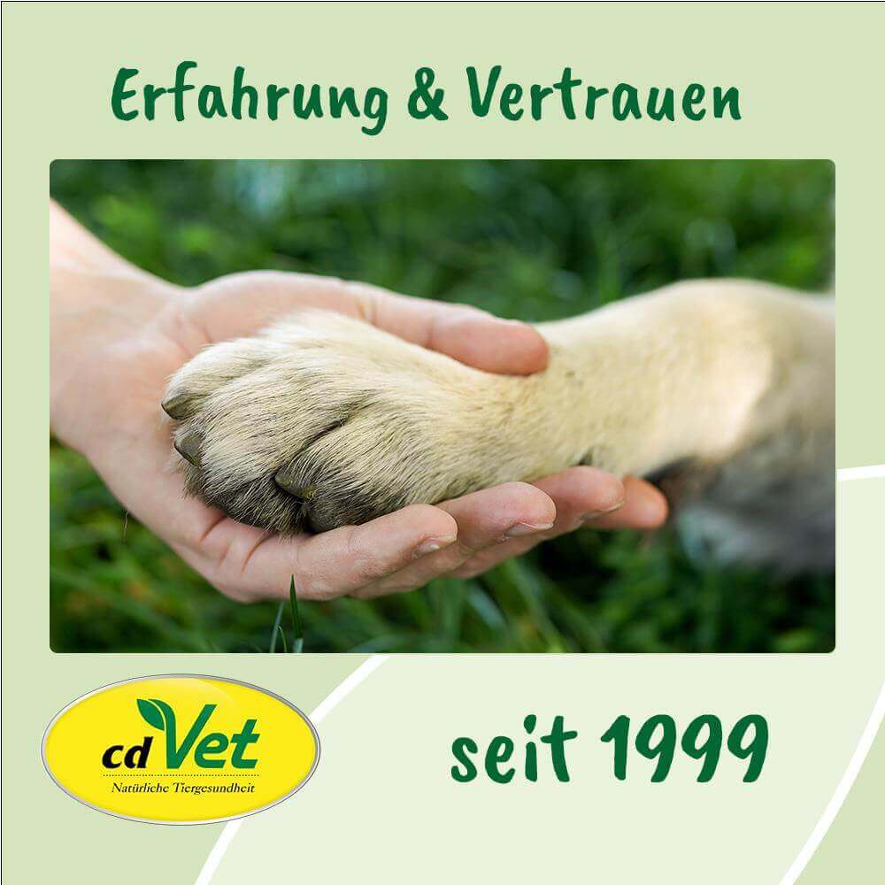 ArthroGreen Lauf-Fit Pro 100 ml -Sorbe-