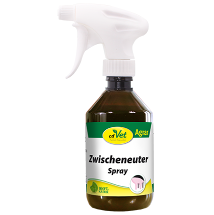 Zwischeneuter Spray 250ml Zwischeneuter Spray 250ml