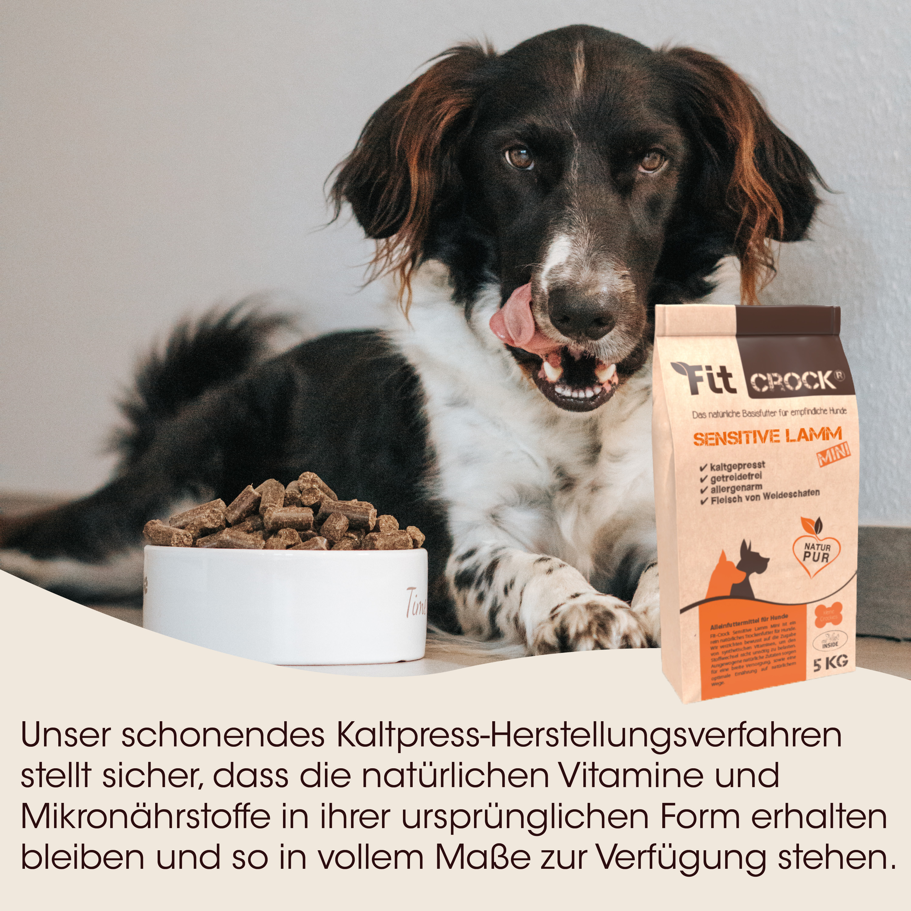Hund, Hundefutter, Kauknochen, Nagelfreies Design, Tiernahrung
