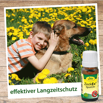 Shopbild ZeckEx SpotOn 50 ml