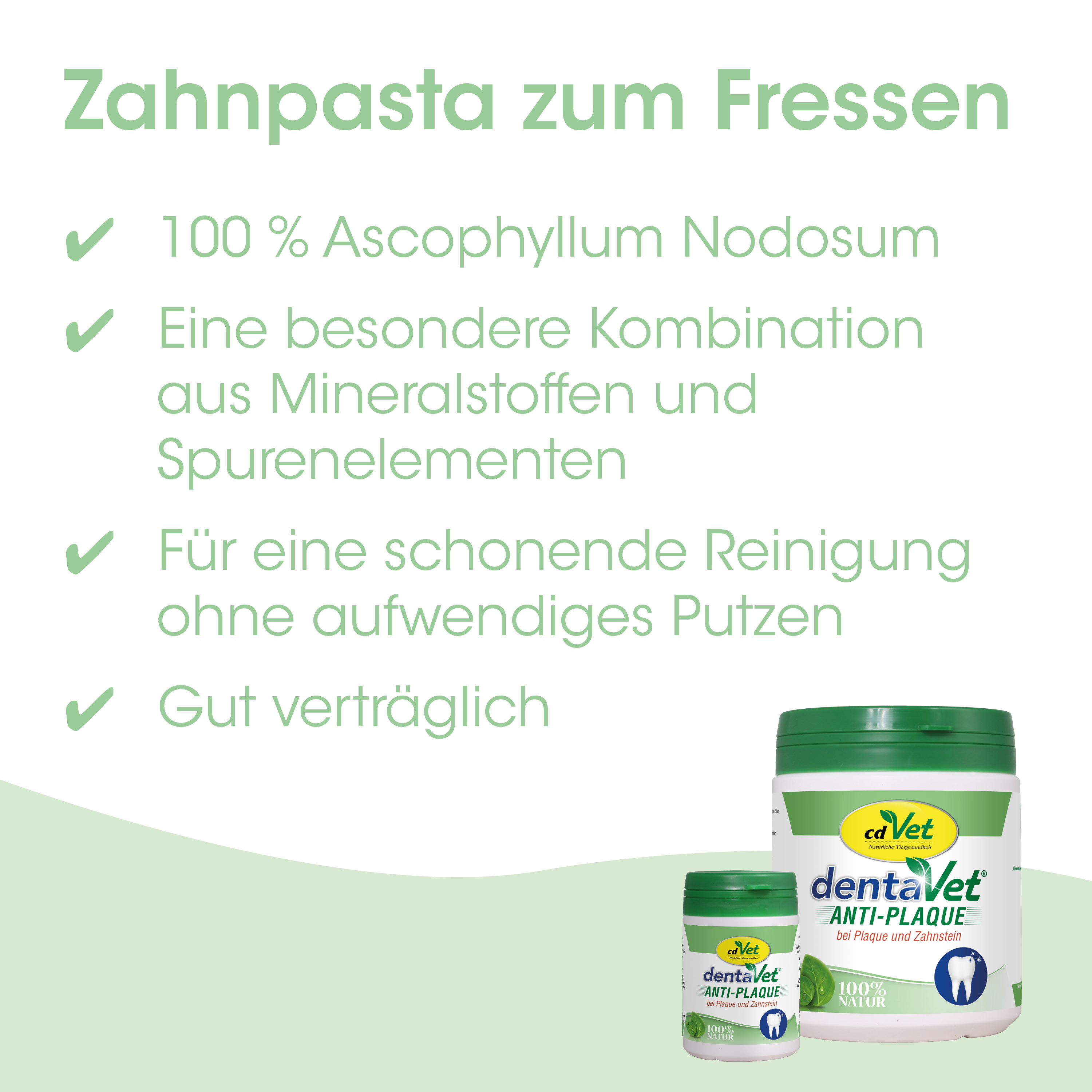 Zahnpasta, Zahncreme, Anti-Plaque, DentalCare, Kauprodukt?