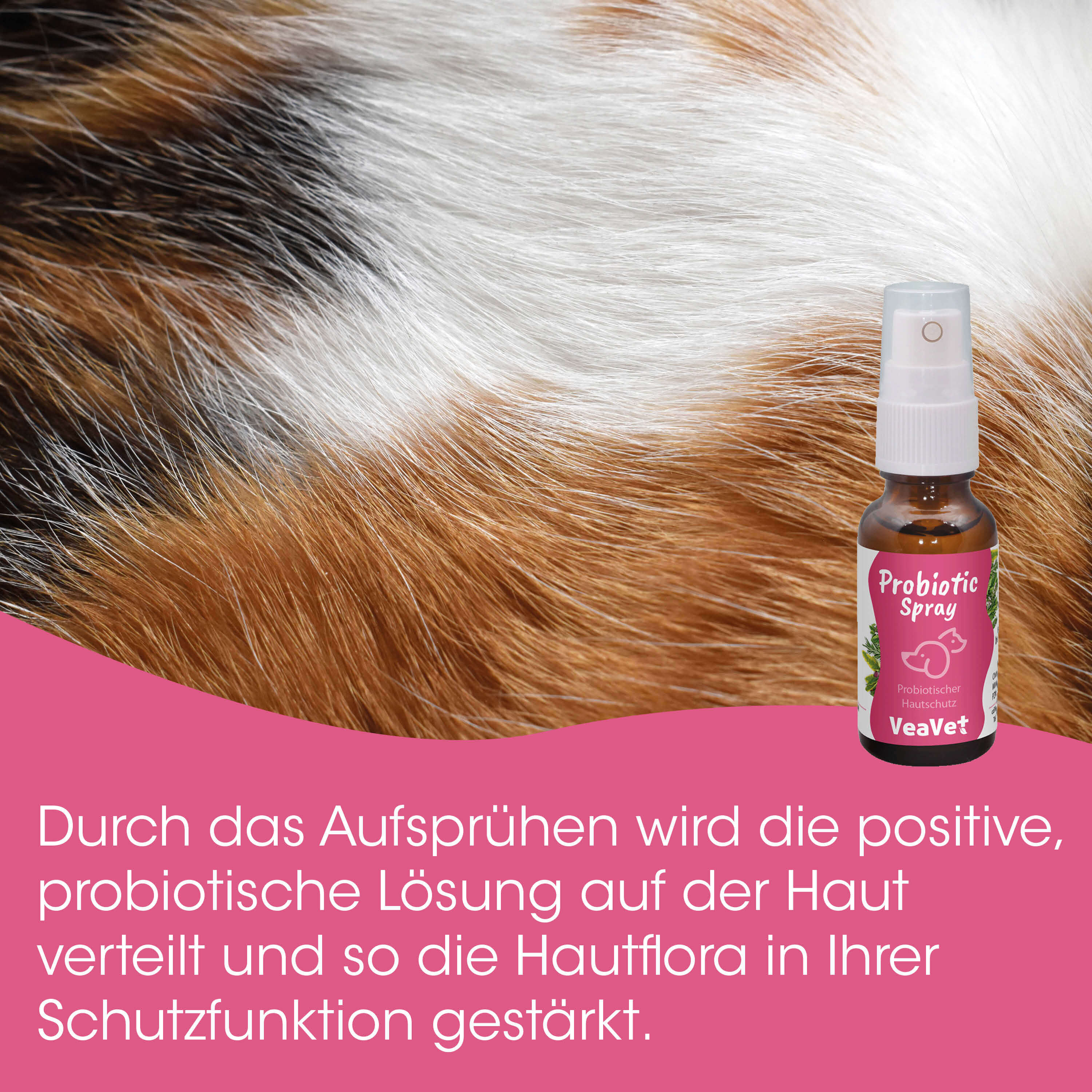 Probiotischer Spray, Hunde-Pflege, Hautschutz, Flasche Spray, Rosa Etikett