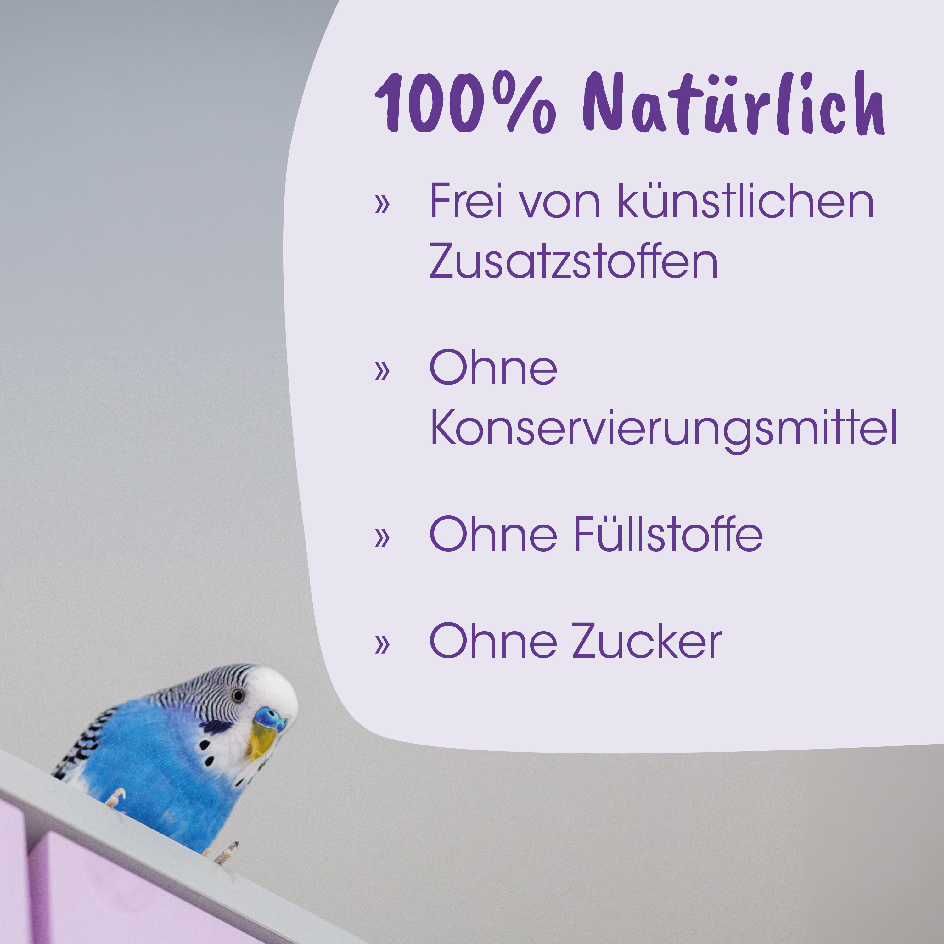 papagei, blauer wellensittich, vogel, haustier zubehör, kargen deko