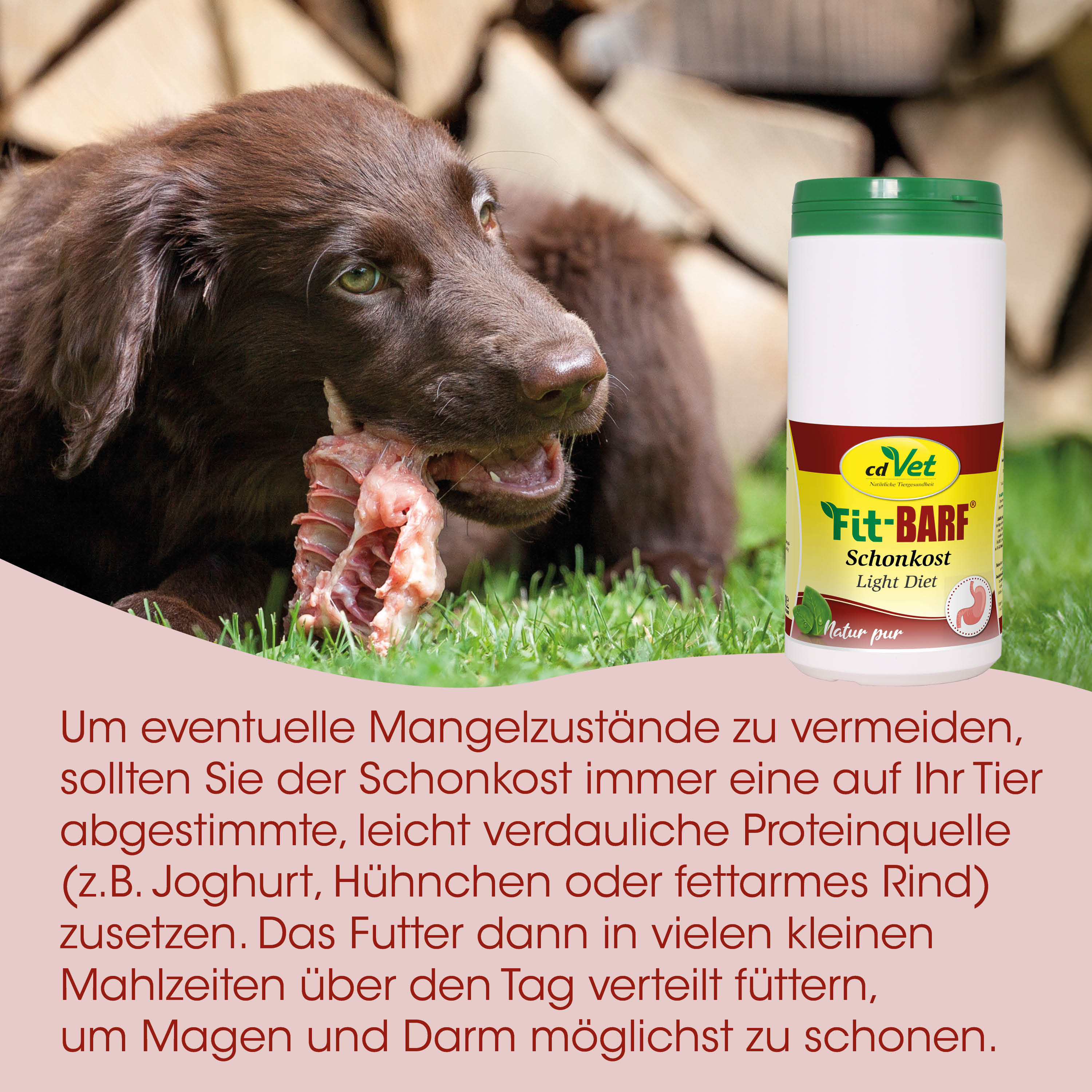Hund, Schonkost, Fleischkauen, Grün, Tierfutter